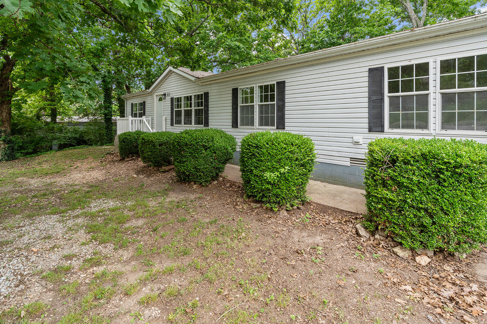 313 Laurel Street Property Photo 5