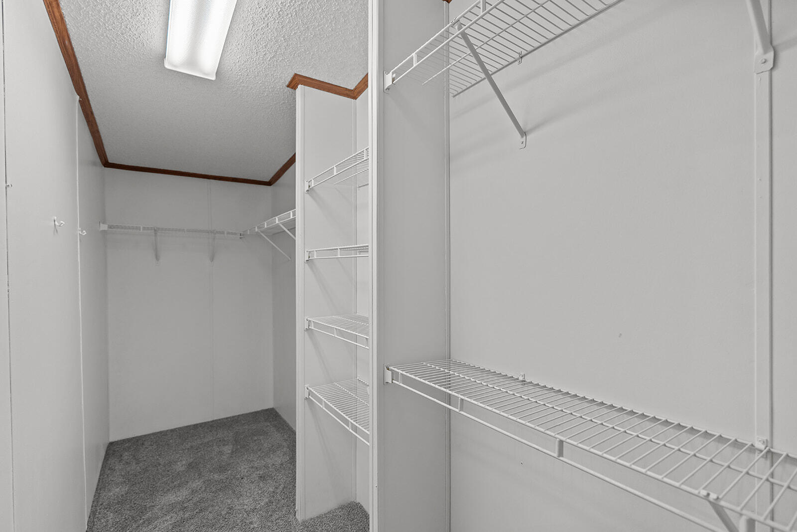 313 Laurel Street Property Photo 19