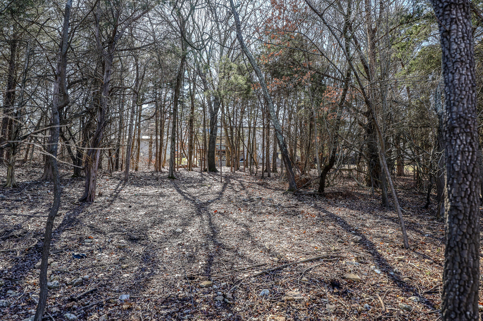 139 Cherokee Drive Property Photo 71