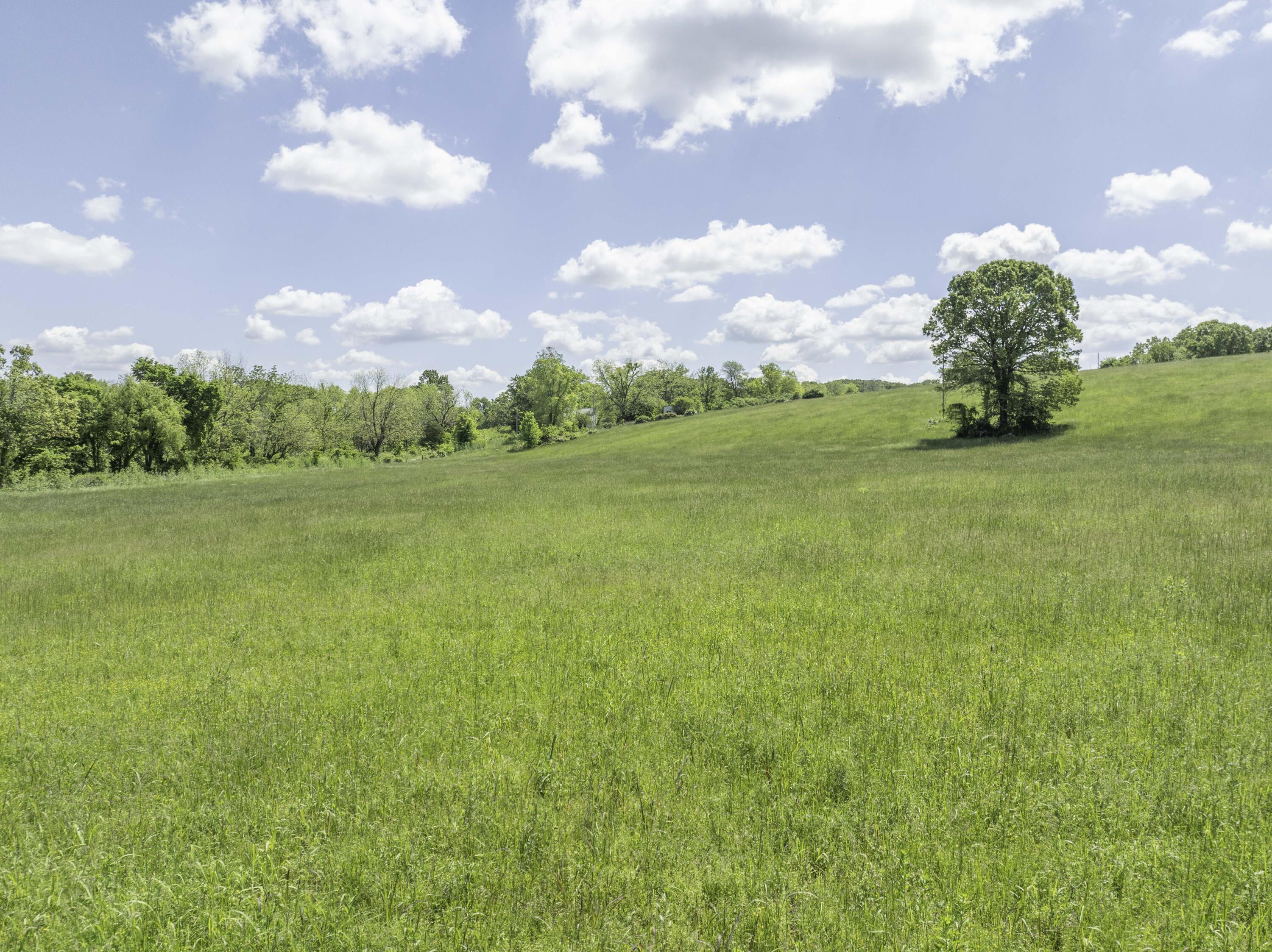 12030 Farm Road 1100 Property Photo 49