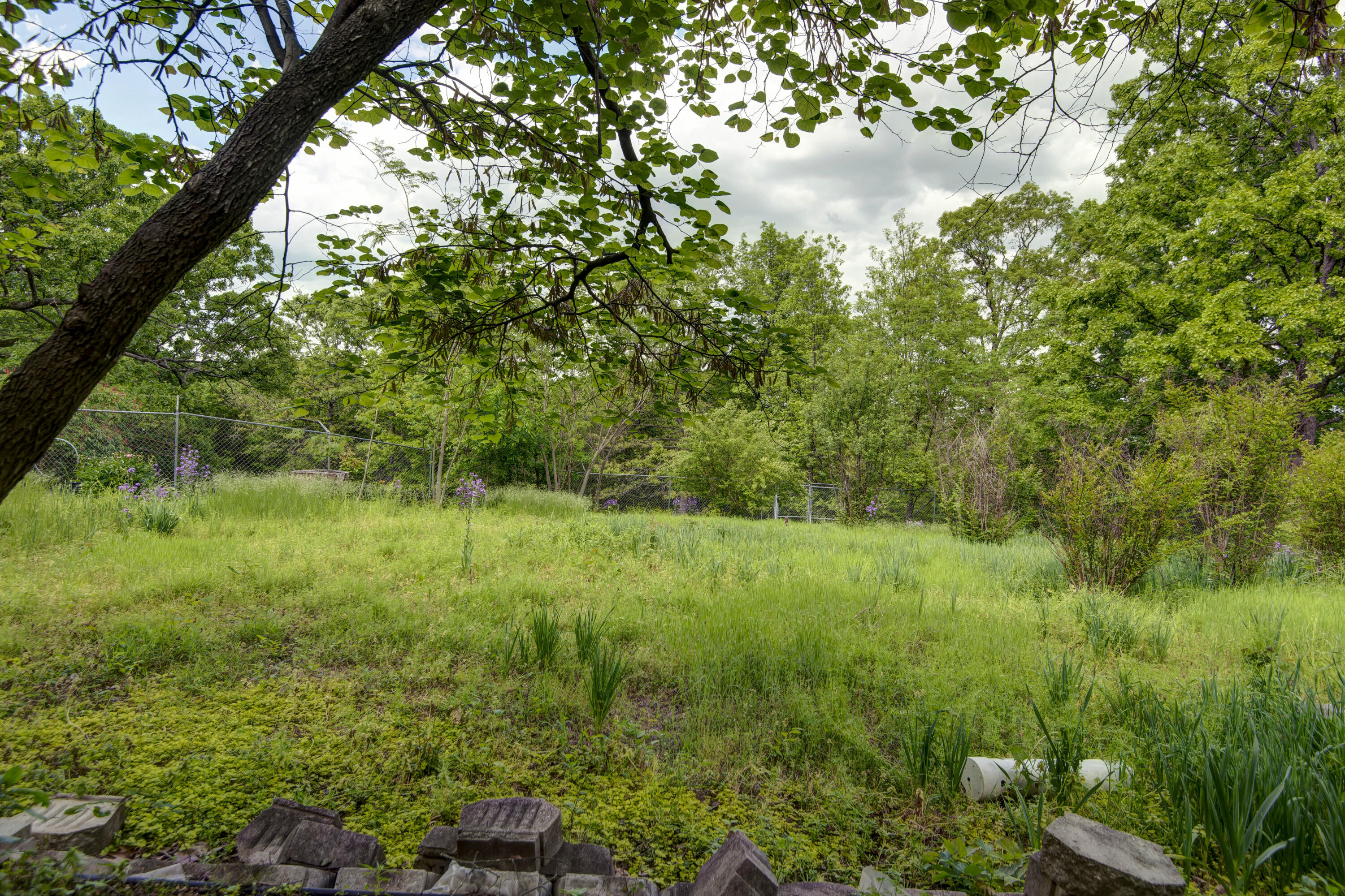 230 Spring Creek Road Property Photo 28