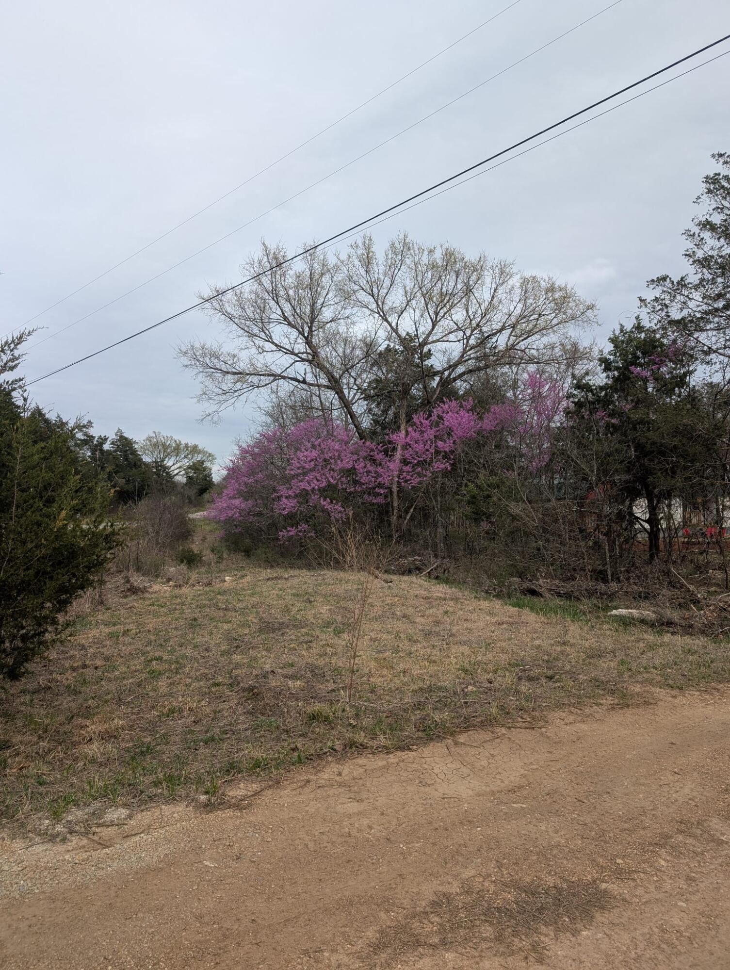 1625 Elbow Road Property Photo 34