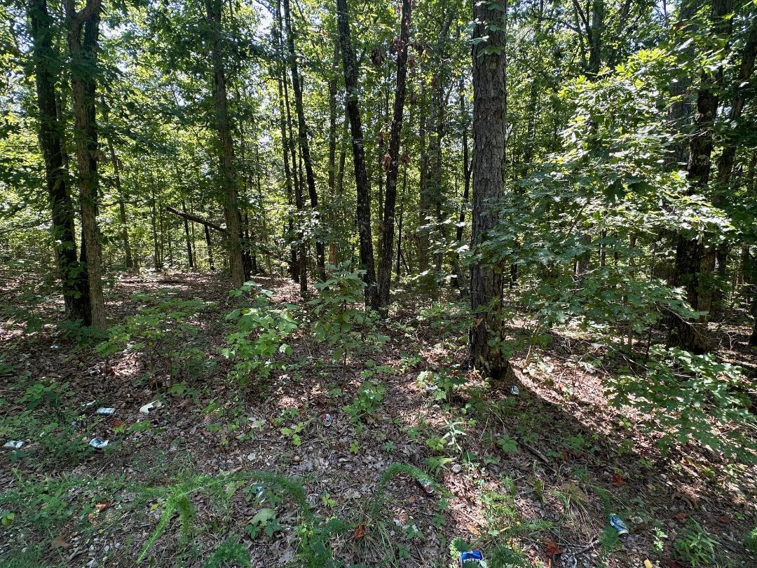 0000 Whispering Pines Property Photo