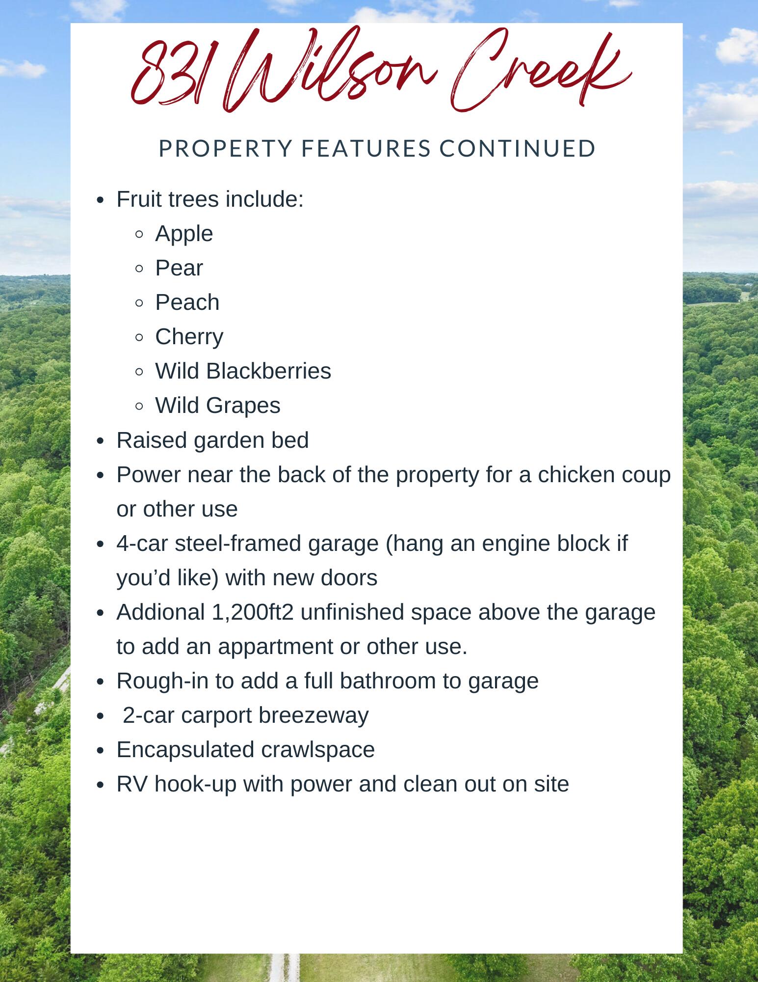 831 Wilson Creek Road Property Photo 3