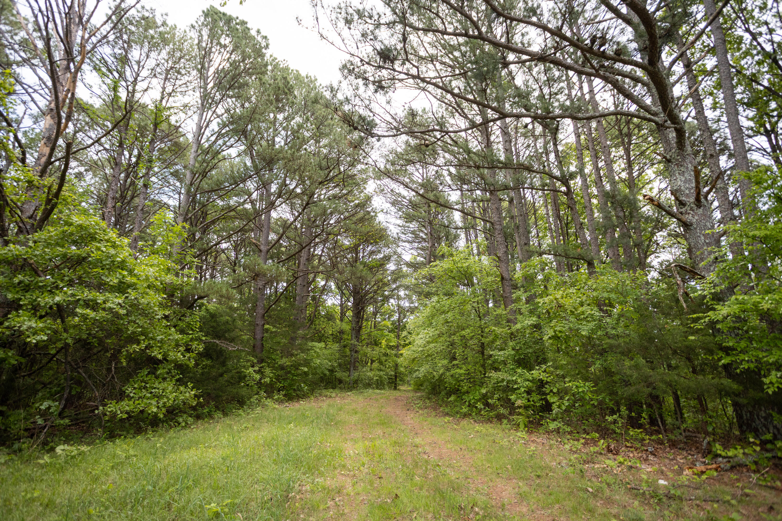 000 Highway H Property Photo 6