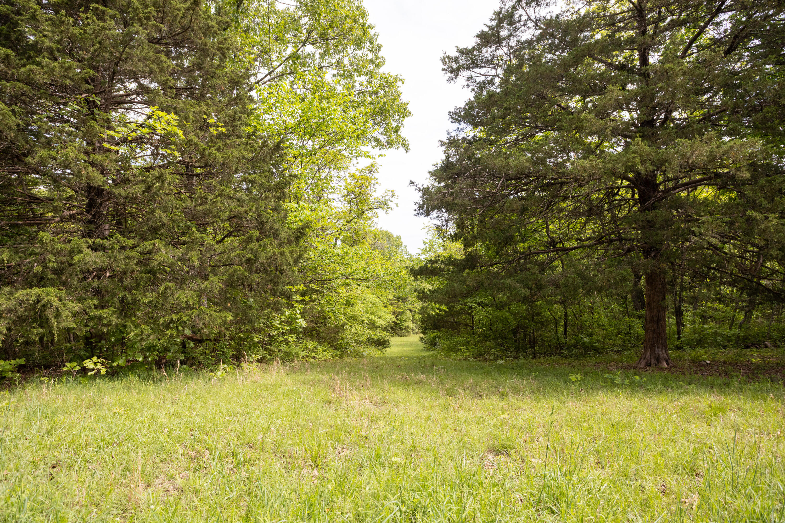 000 Highway H Property Photo 18