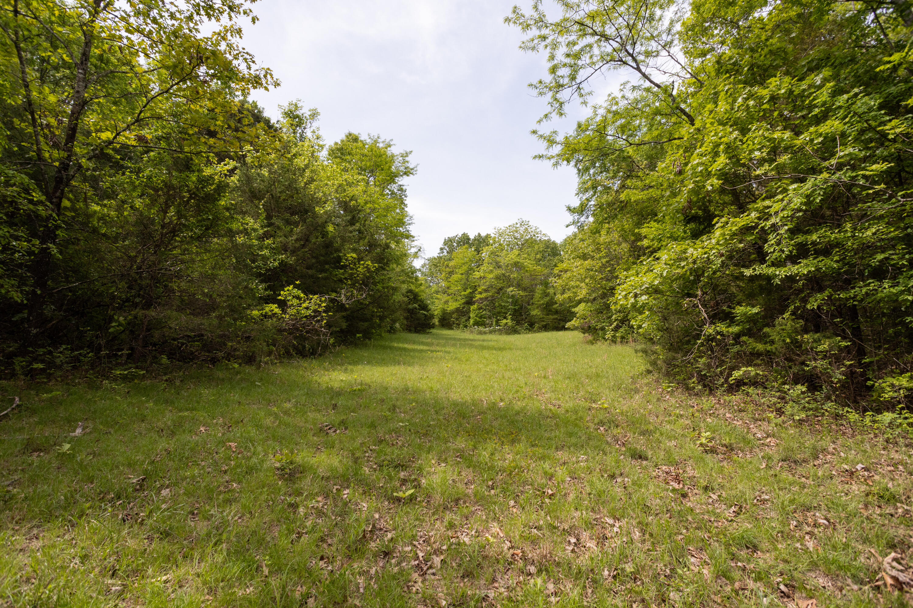 000 Highway H Property Photo 21