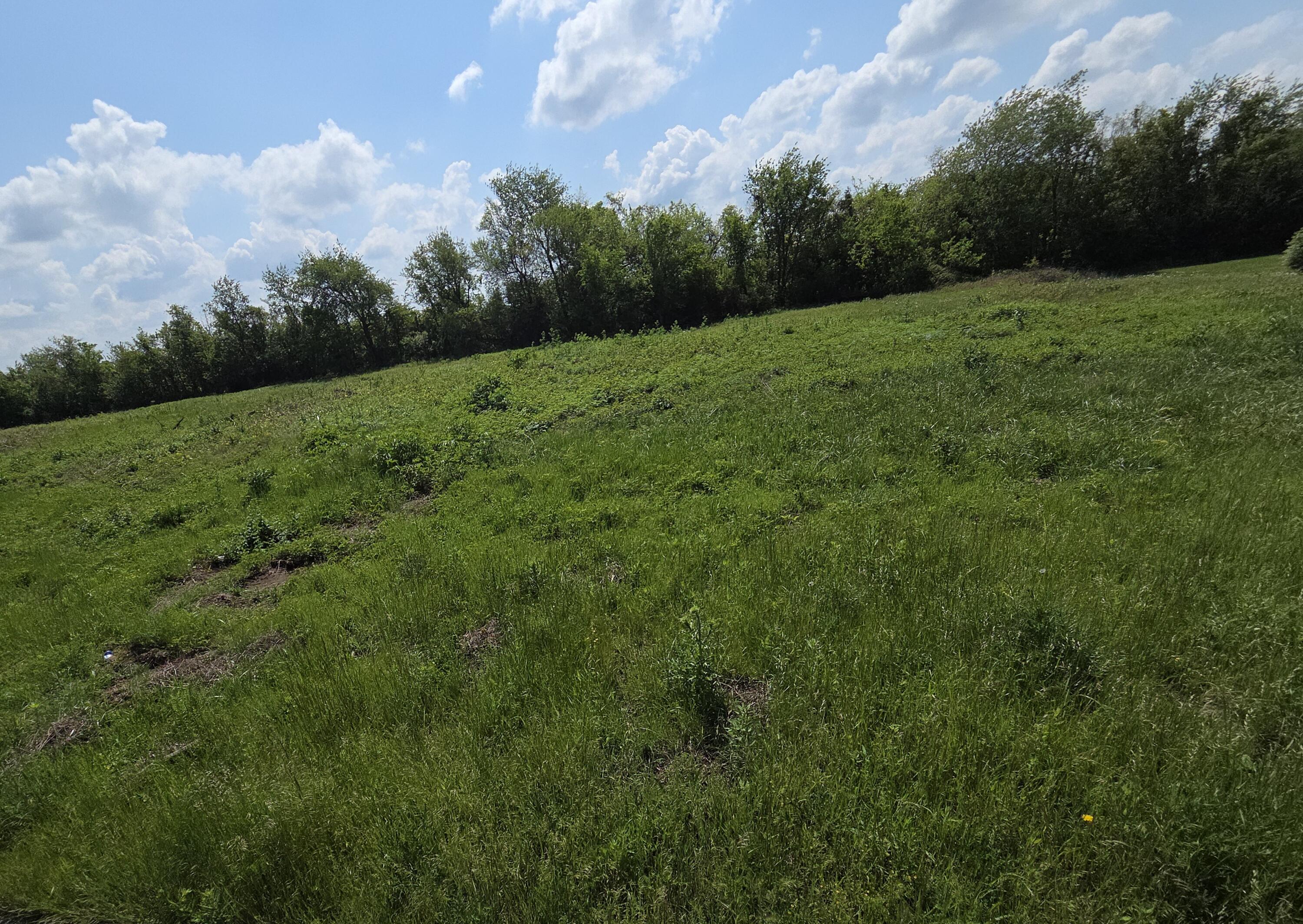 970 North Autin Lane Property Photo