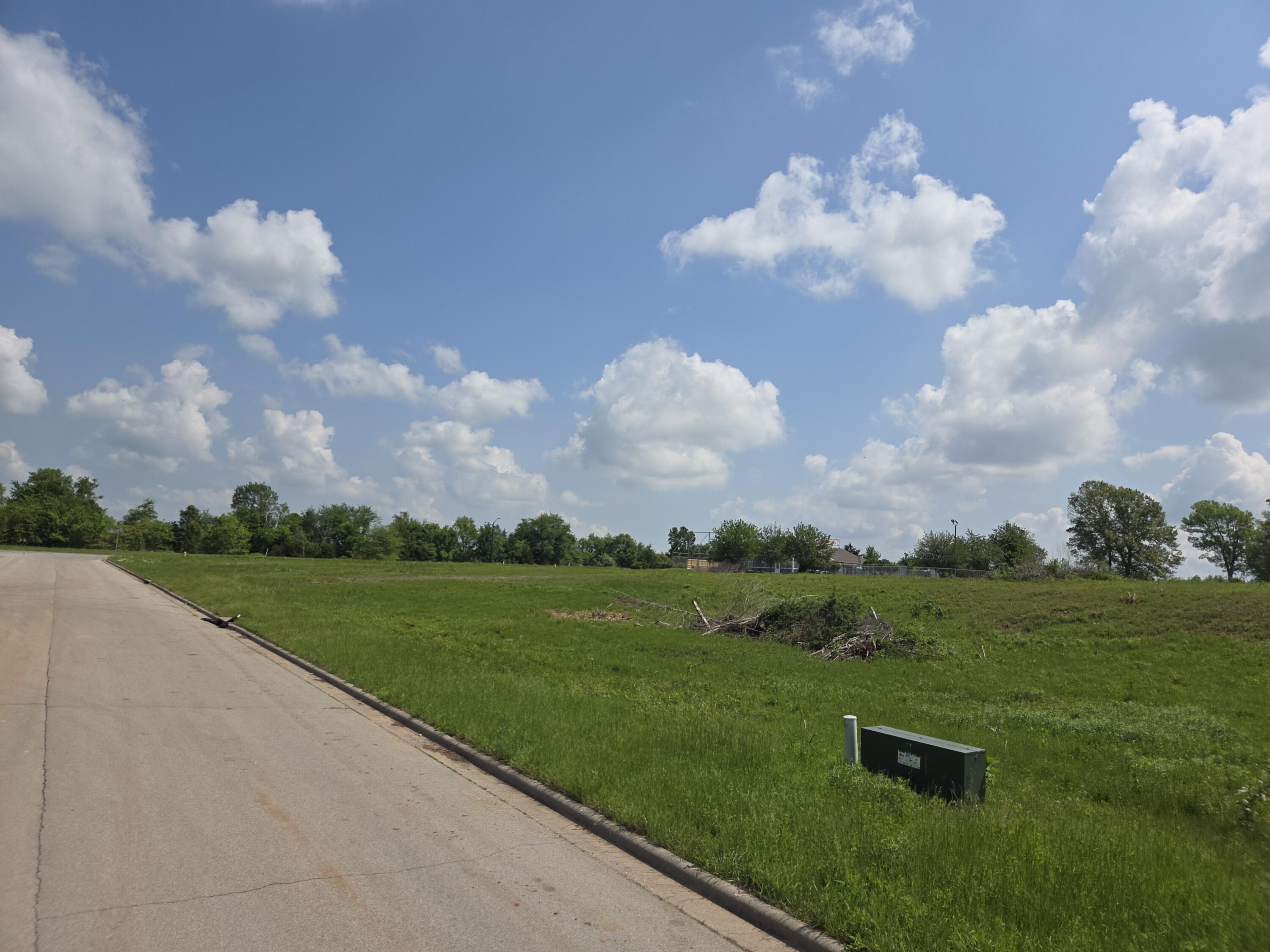 990 North Lindsey Avenue Lot 17 Property Photo 4