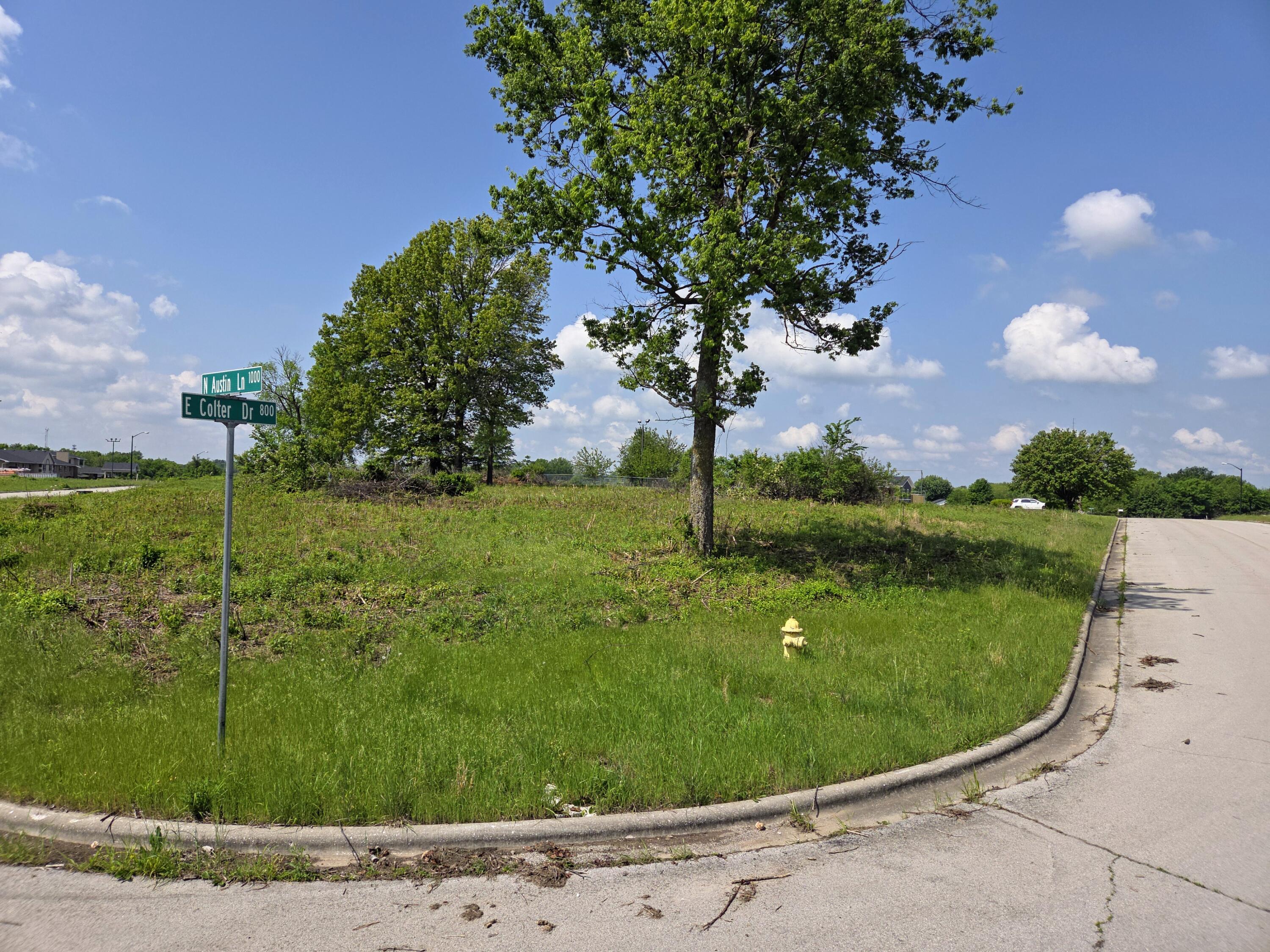 850 East Colter Drive Lot 20 Property Photo 3