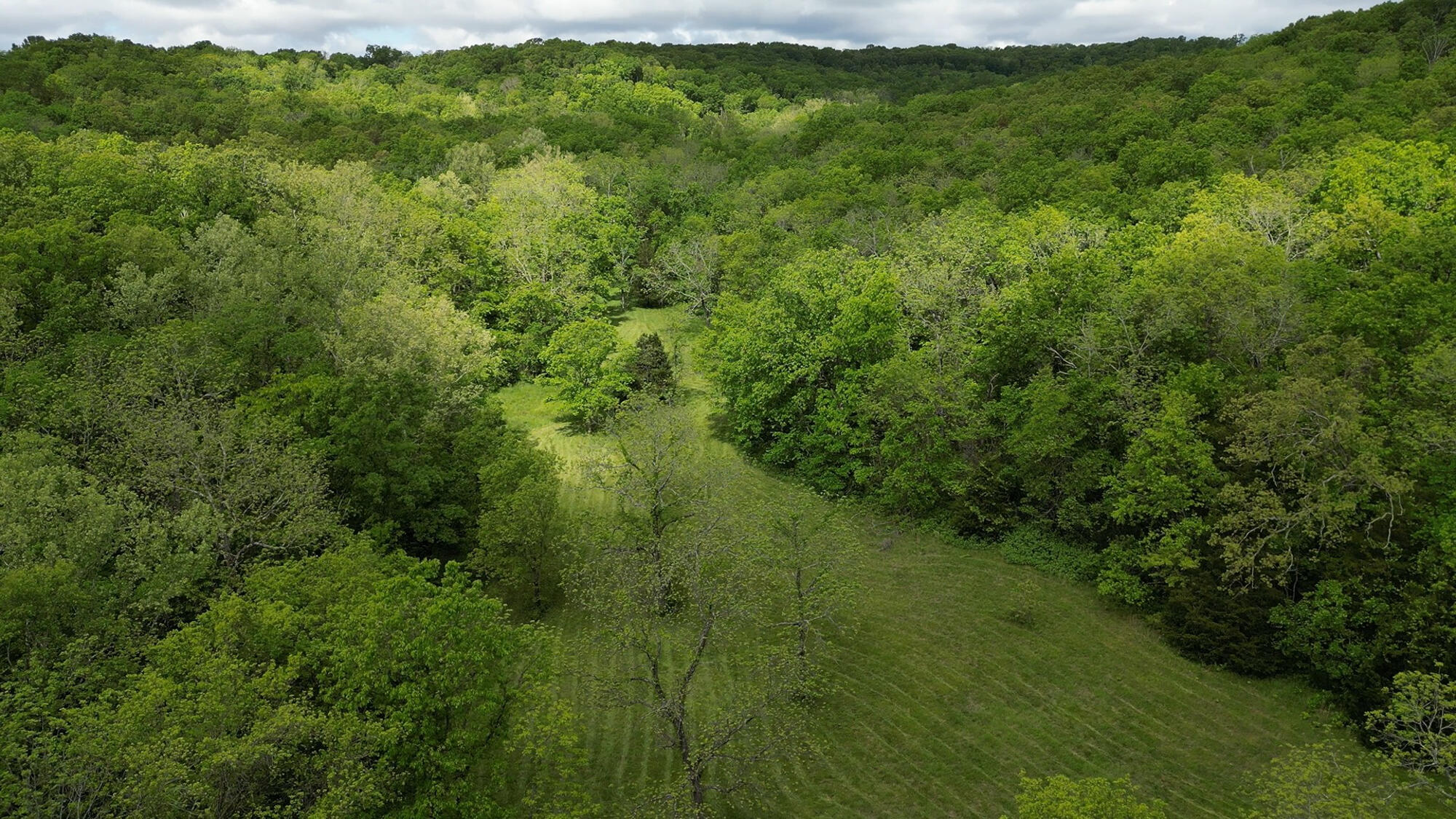 9619 Flat Rock Road Property Photo 2