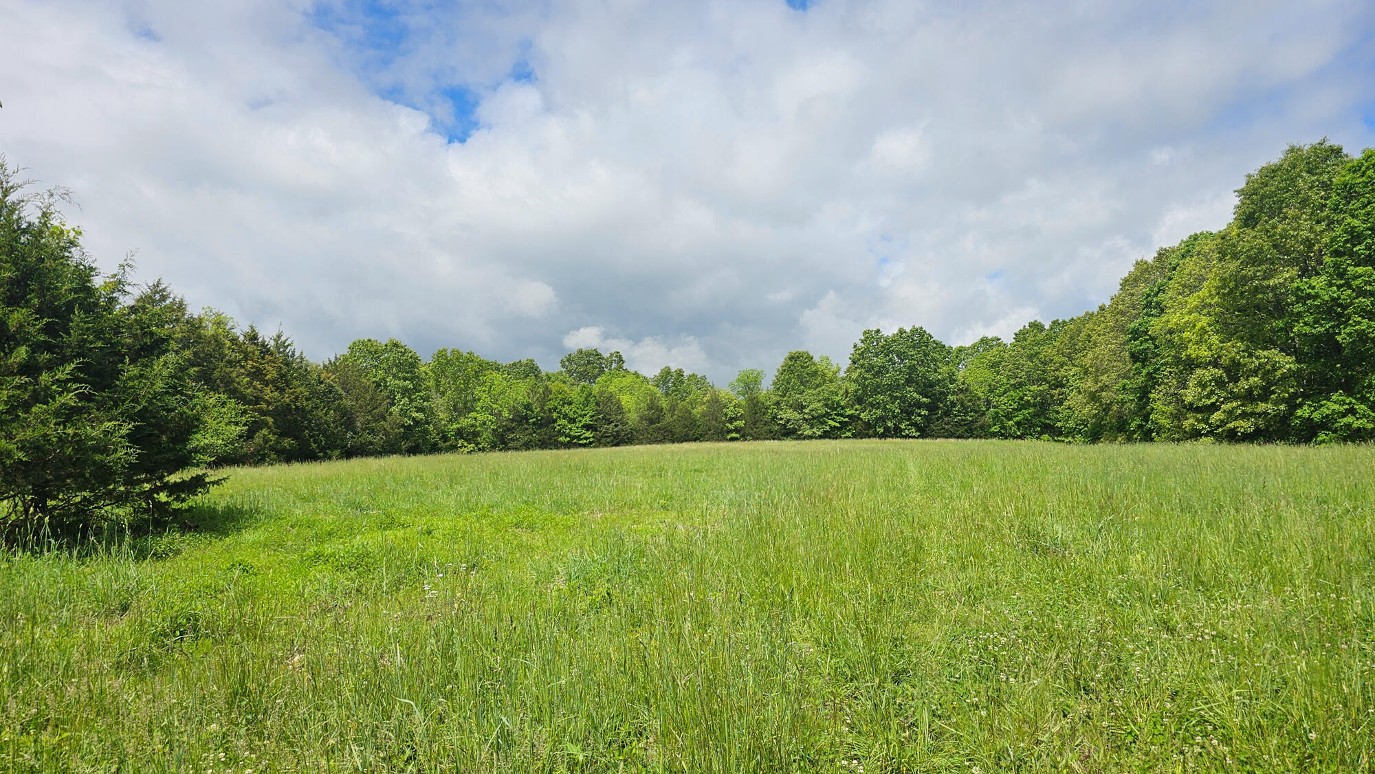 9619 Flat Rock Road Property Photo 4