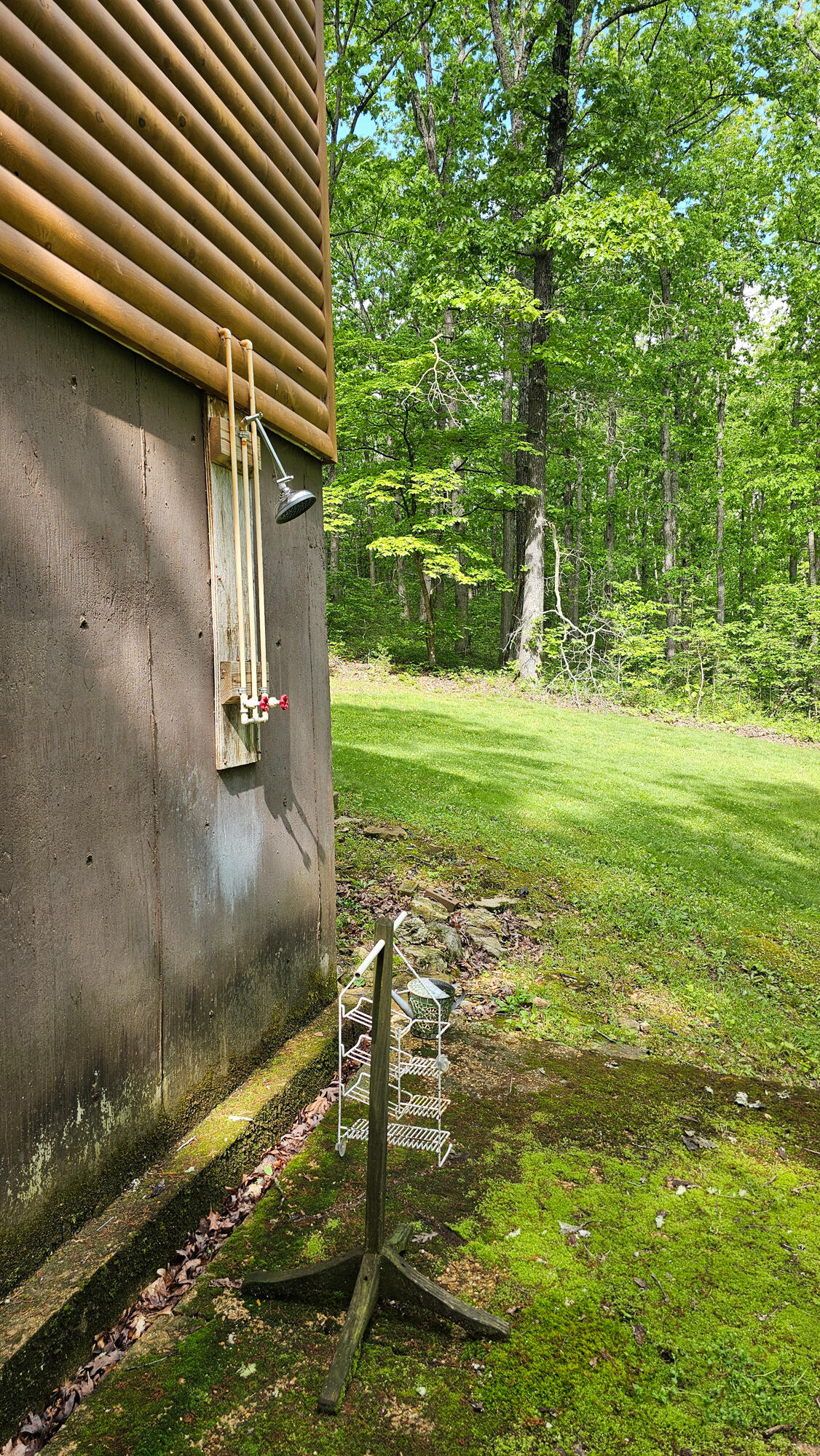 9619 Flat Rock Road Property Photo 15