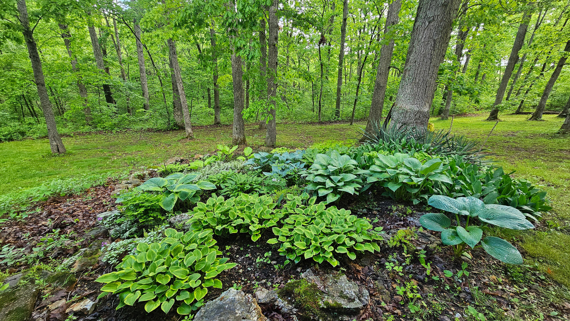 9619 Flat Rock Road Property Photo 40