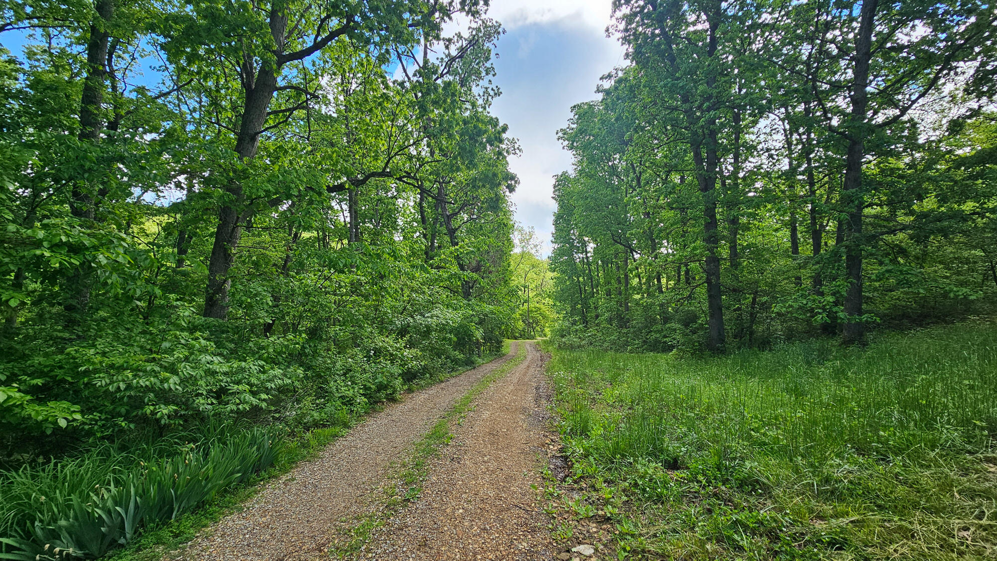 9619 Flat Rock Road Property Photo 42