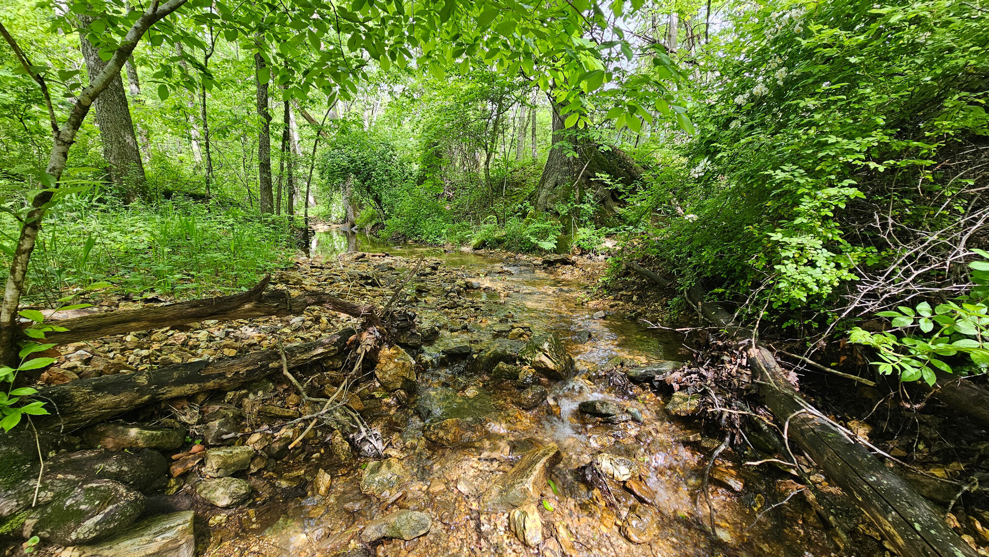 9619 Flat Rock Road Property Photo 48