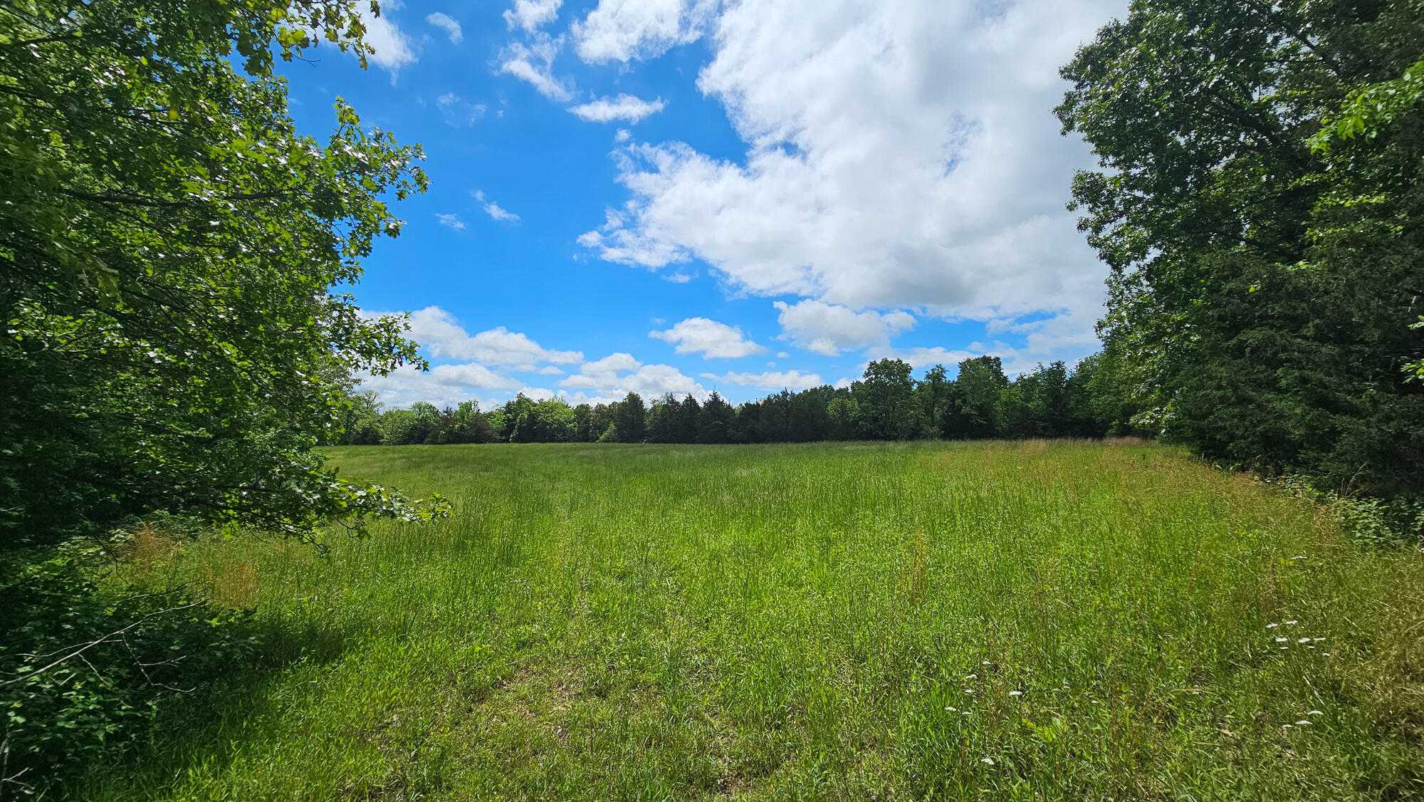9619 Flat Rock Road Property Photo 52