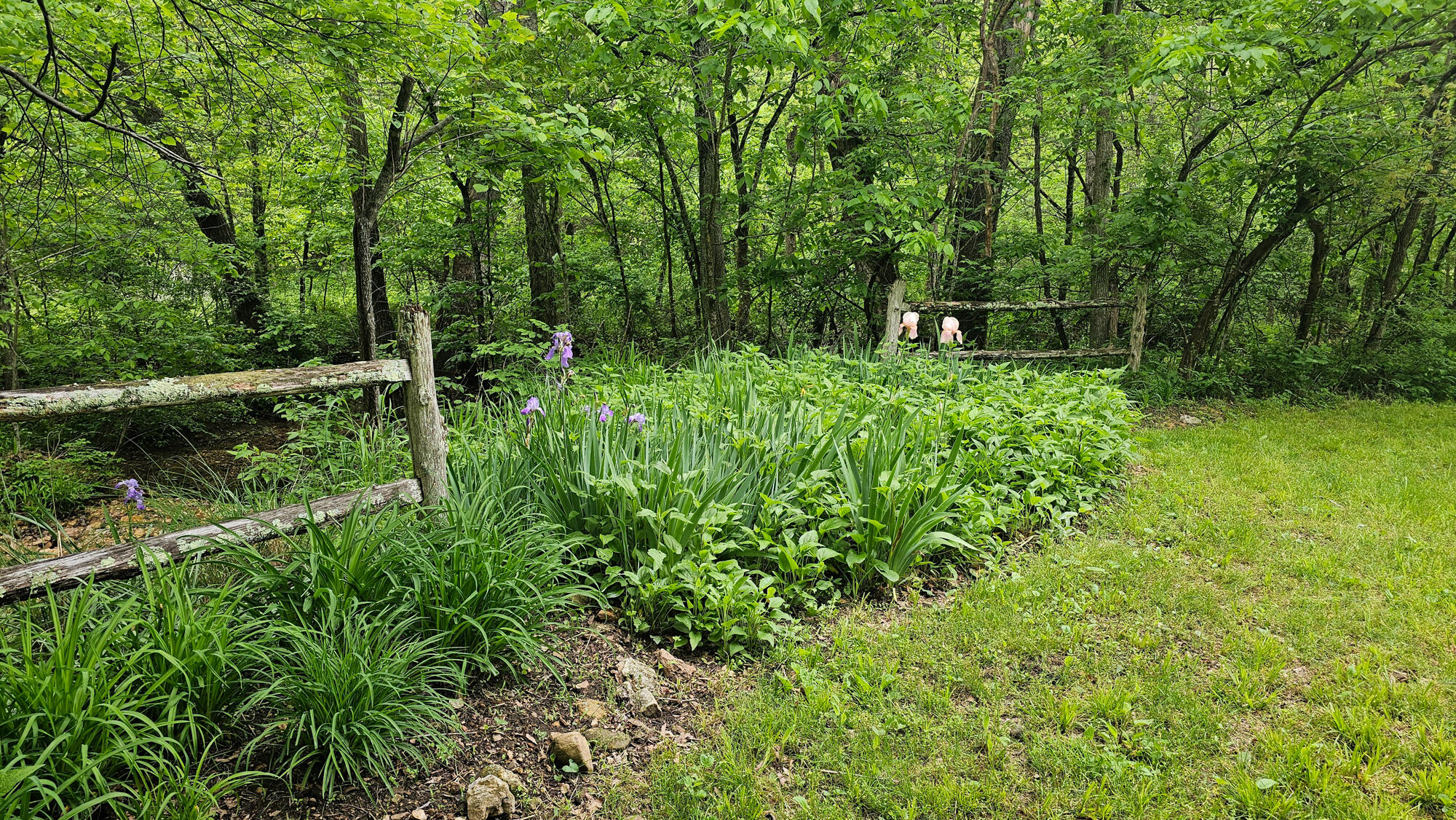 9619 Flat Rock Road Property Photo 54