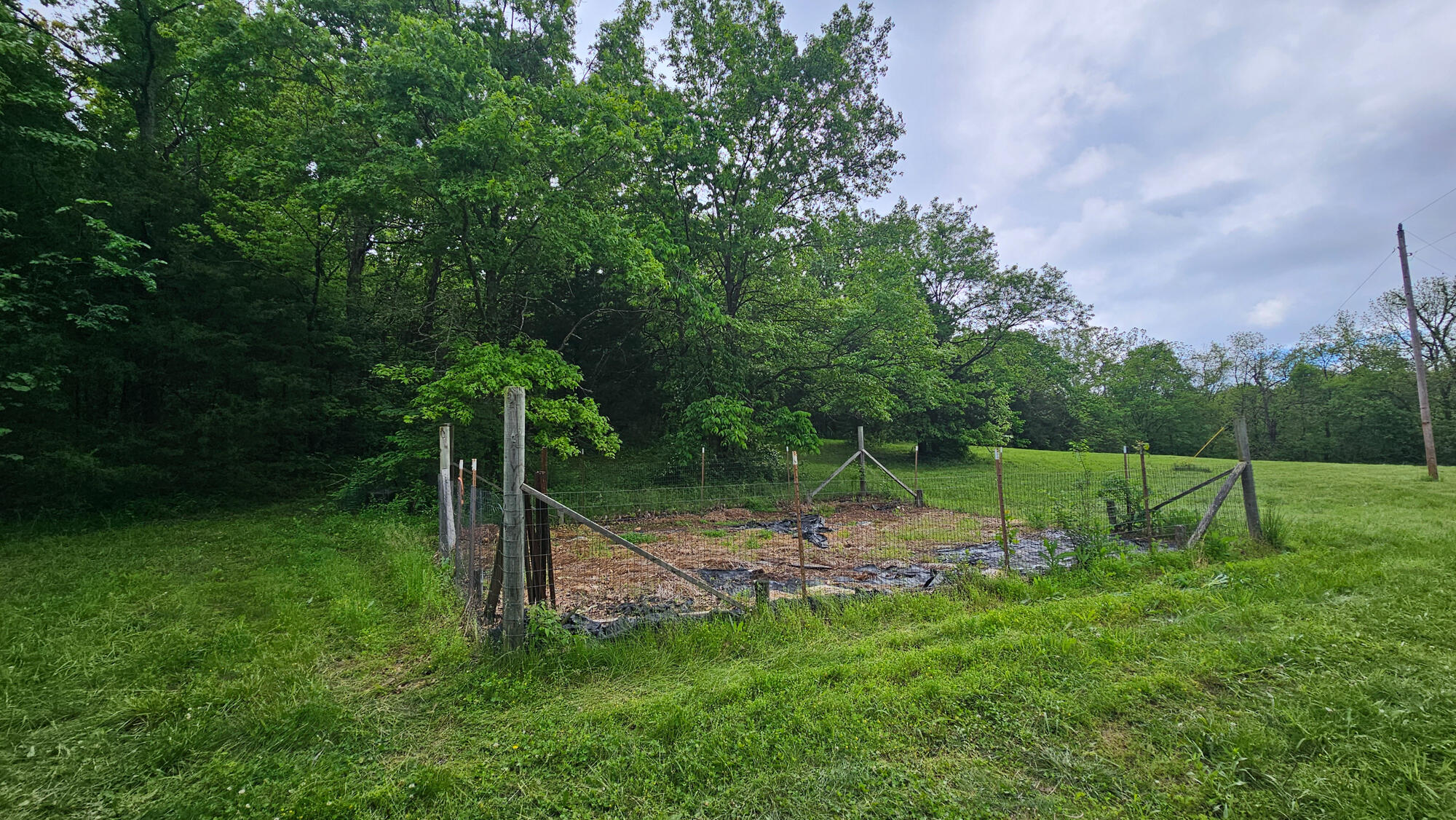 9619 Flat Rock Road Property Photo 55
