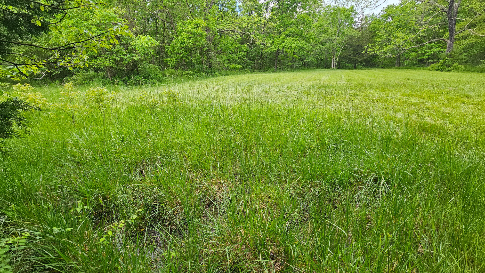 9619 Flat Rock Road Property Photo 57