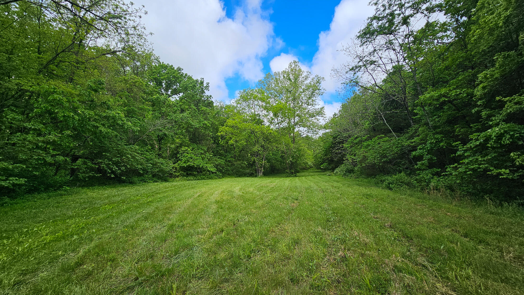9619 Flat Rock Road Property Photo 59