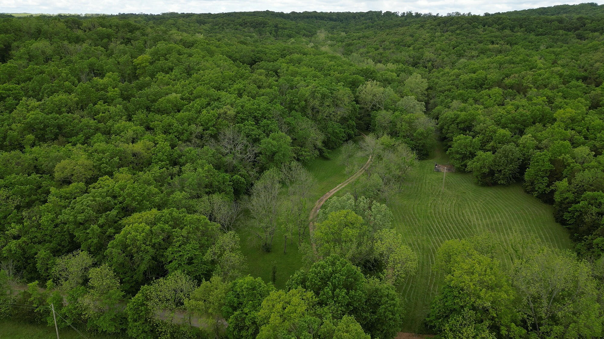 9619 Flat Rock Road Property Photo 64