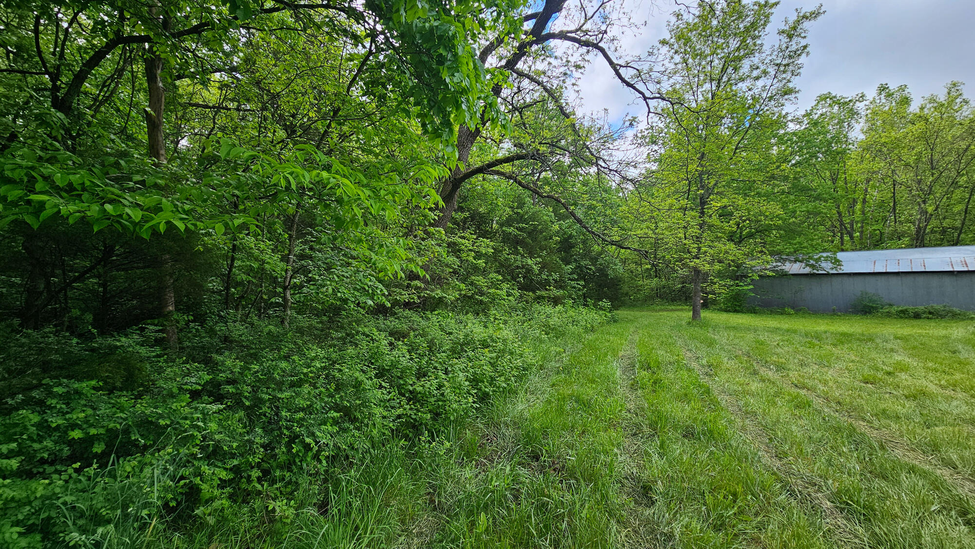 9619 Flat Rock Road Property Photo 66