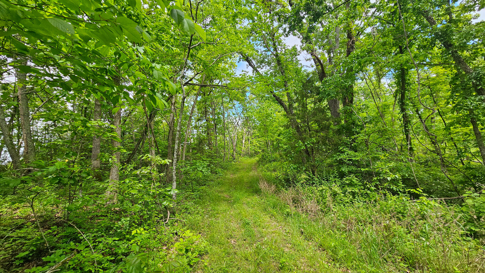 9619 Flat Rock Road Property Photo 68