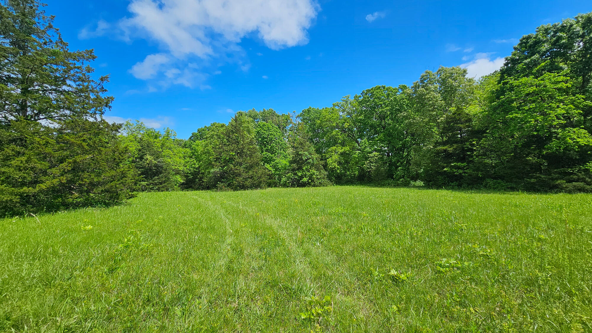 9619 Flat Rock Road Property Photo 69