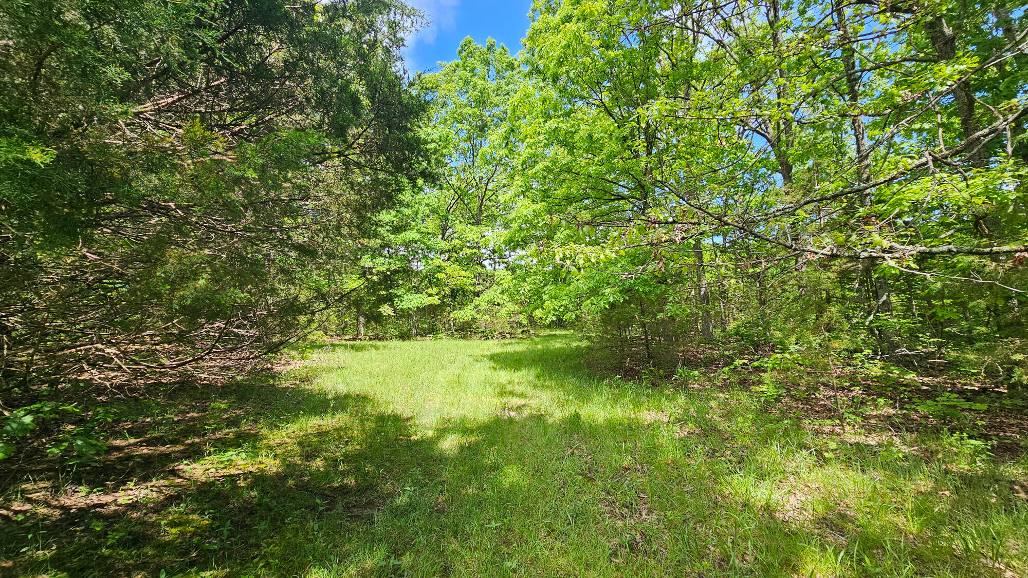 9619 Flat Rock Road Property Photo 70