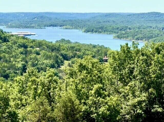 43 Songbird Circle Property Photo 1