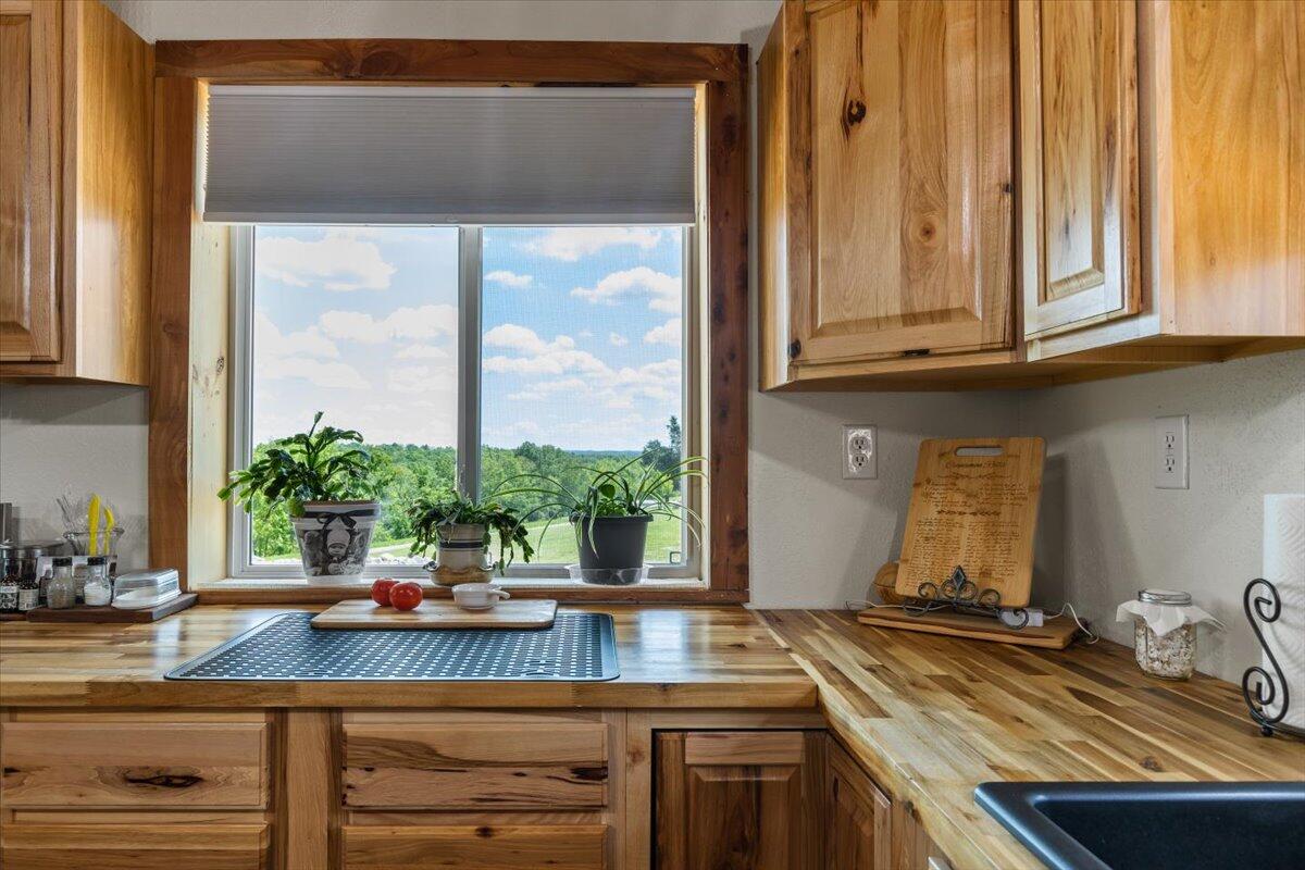 1633 Jessie James Road Property Photo 39