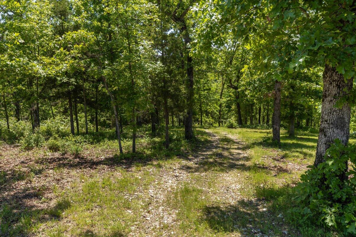 1633 Jessie James Road Property Photo 51