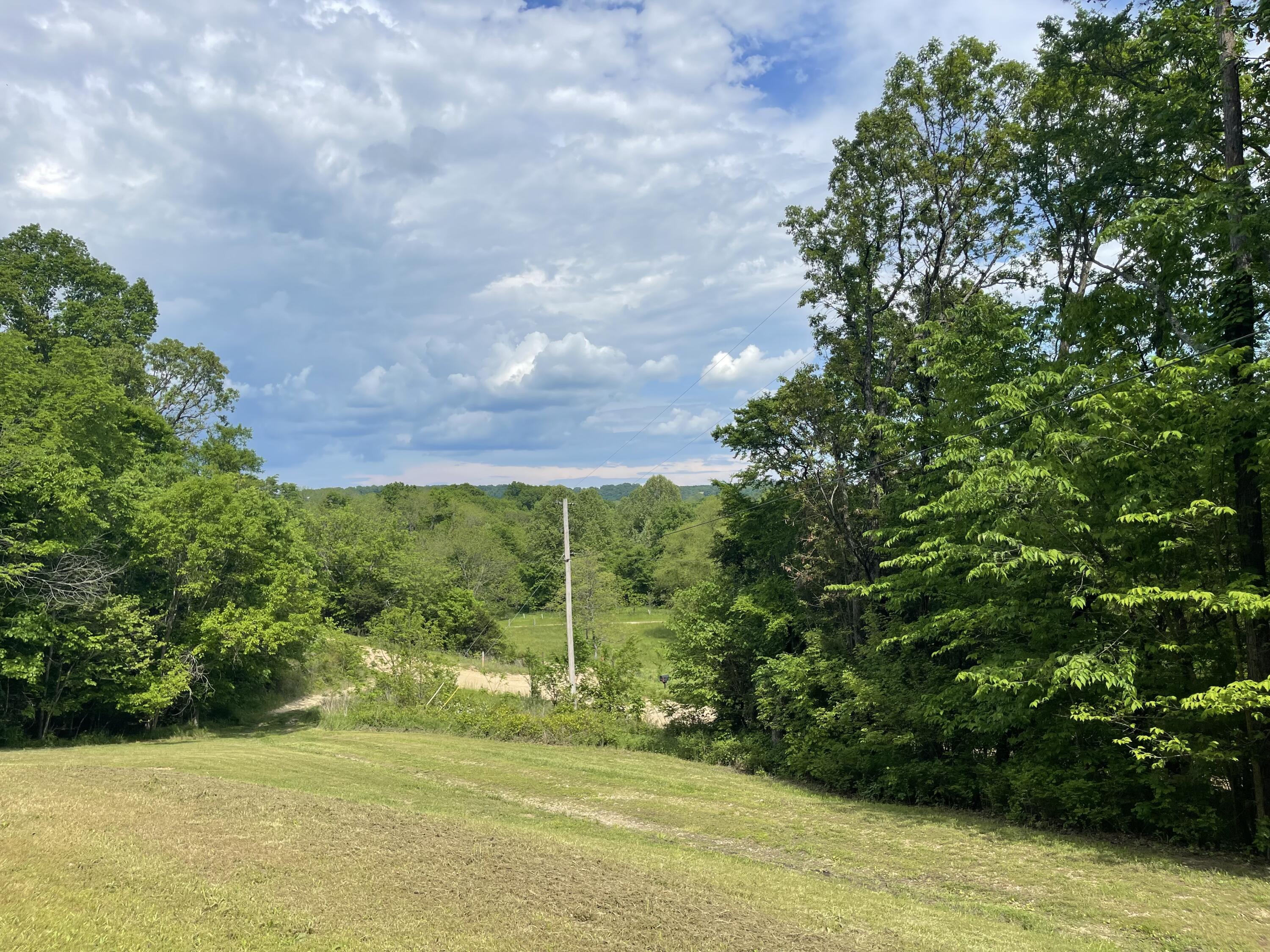 4002 White Oak Road Property Photo