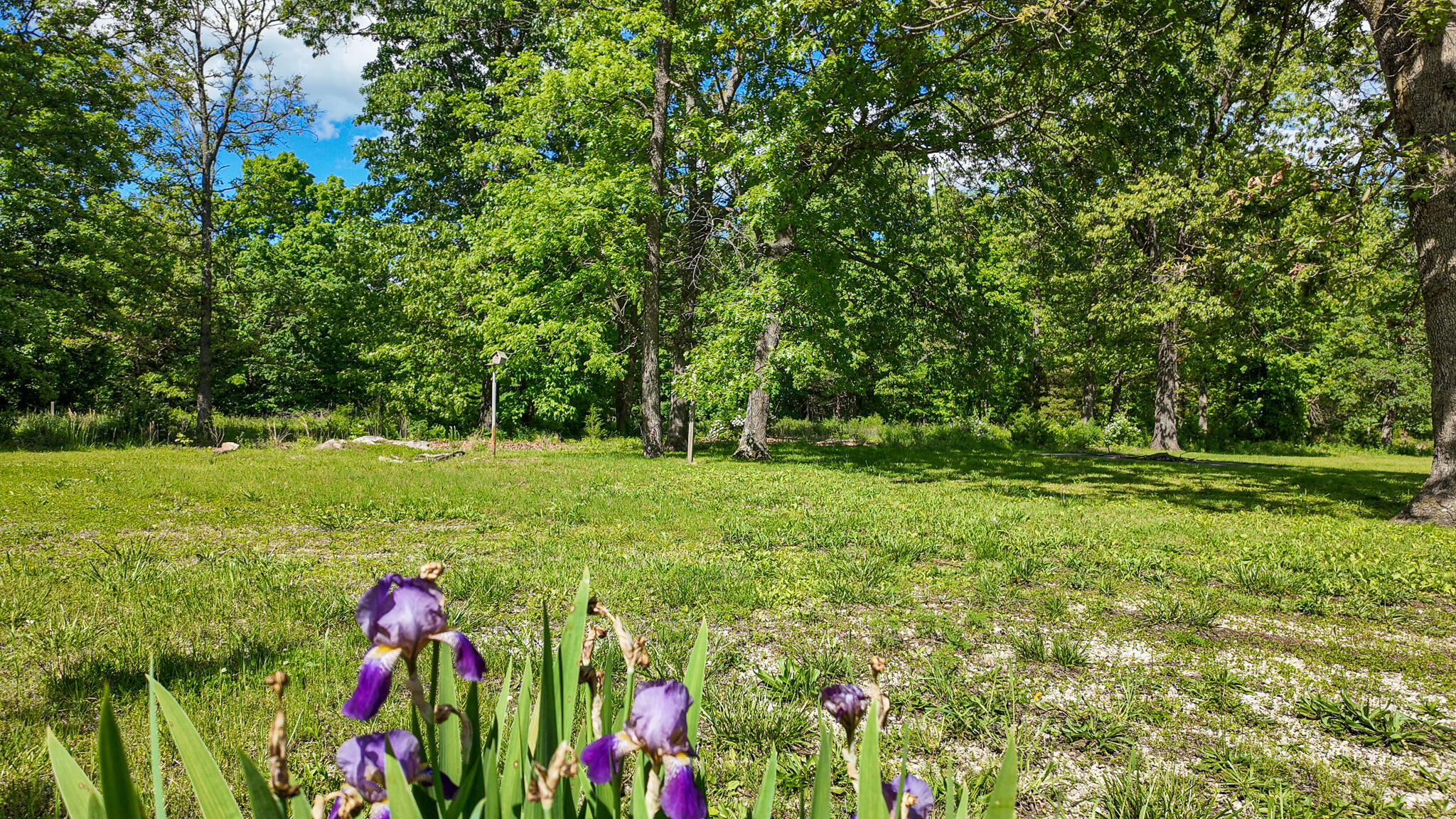 20435 Highway Rb Property Photo 57