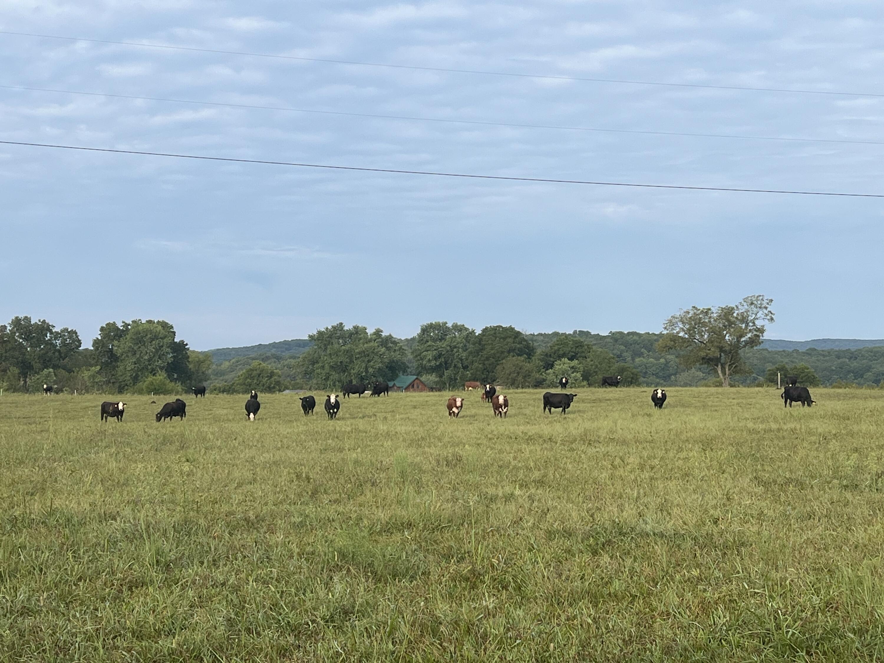 1065 Nicks Road Property Photo 47