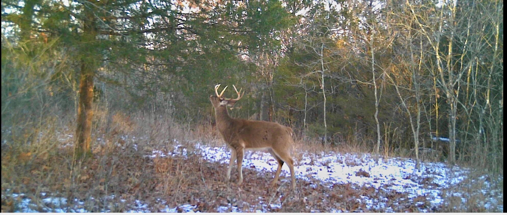 1065 Nicks Road Property Photo 62