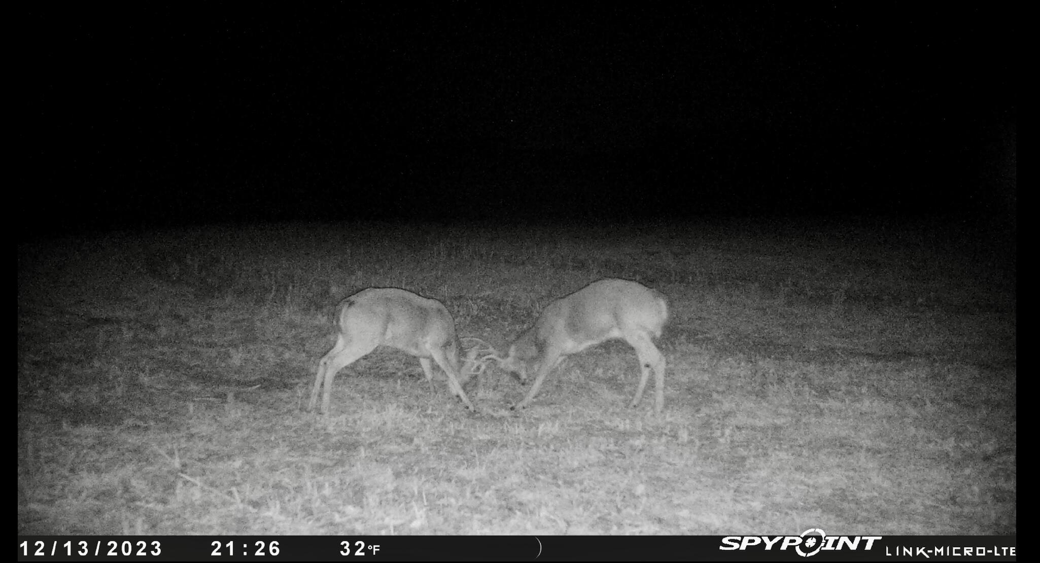 1065 Nicks Road Property Photo 63