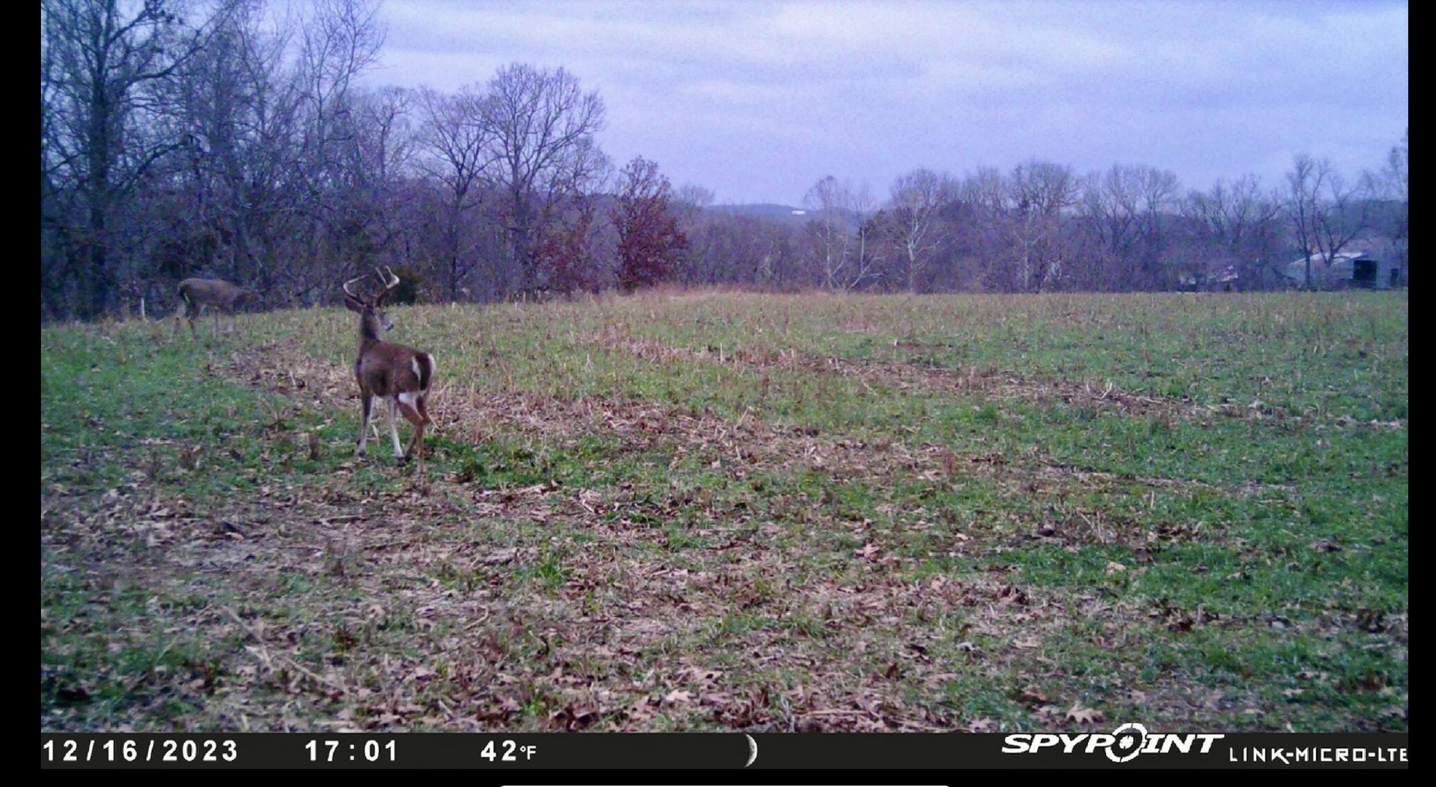 1065 Nicks Road Property Photo 64