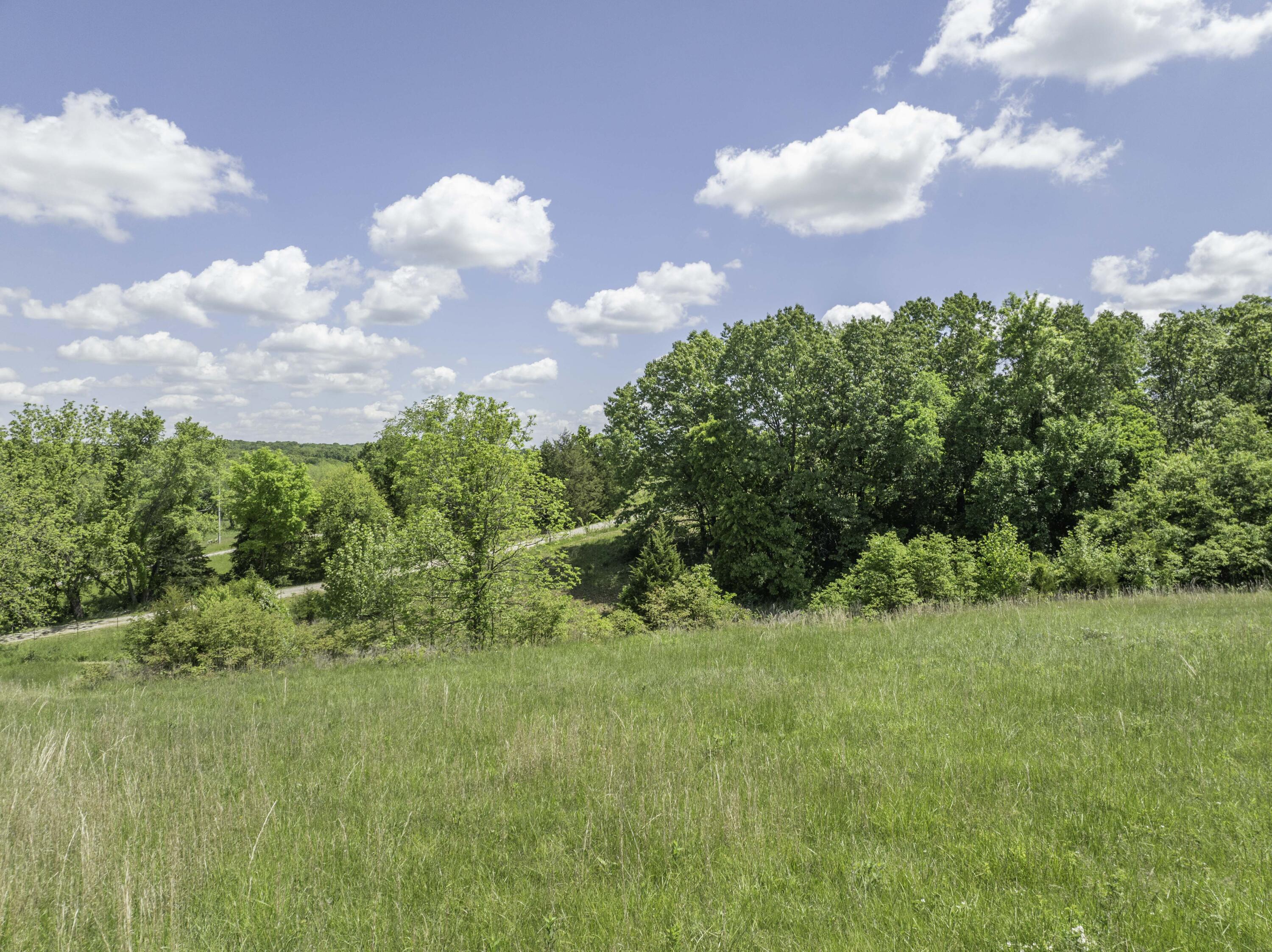 12056 Farm Road 1100 Property Photo 4