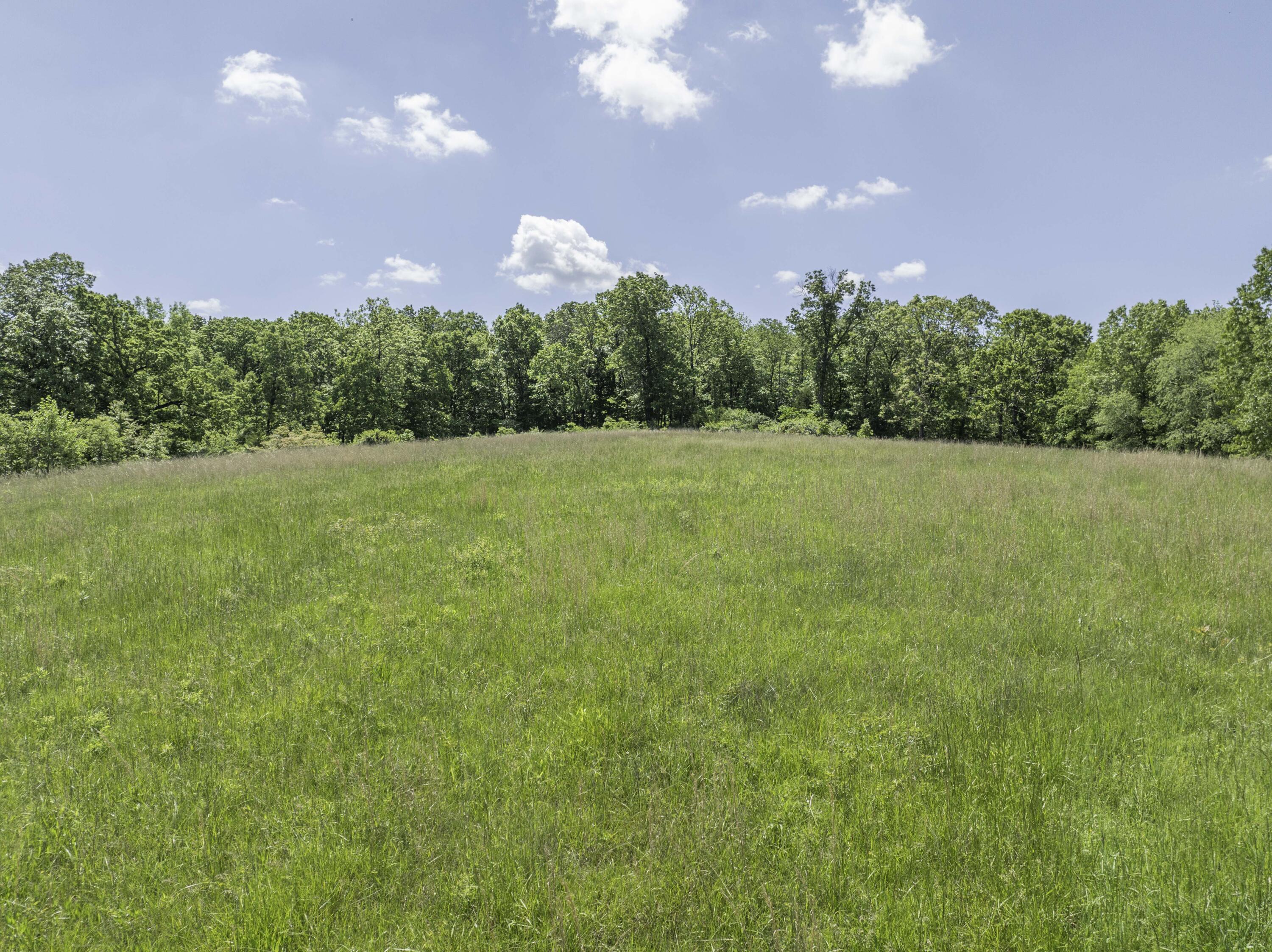 12056 Farm Road 1100 Property Photo 5