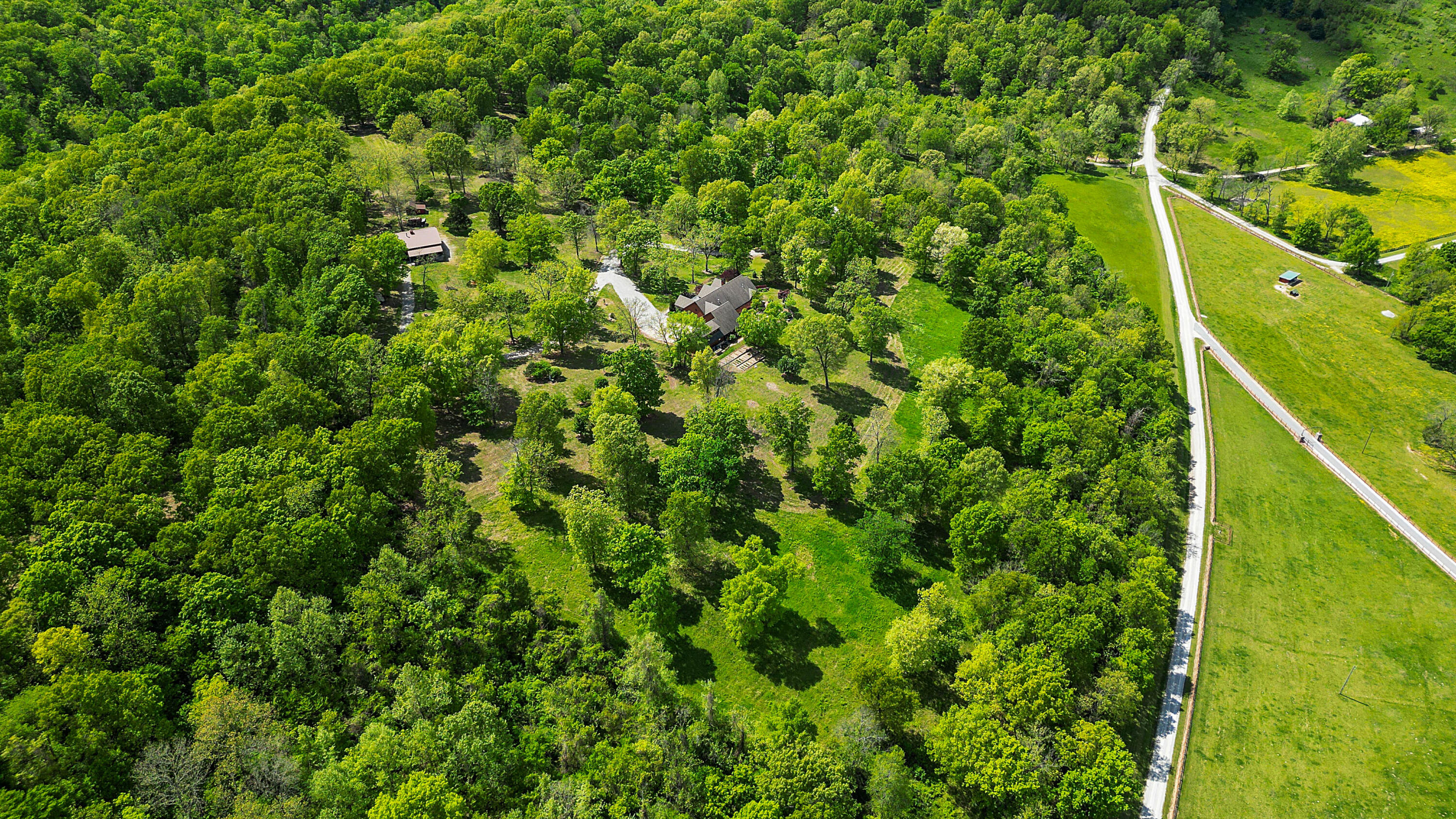315 Buckskin Ridge Property Photo 9