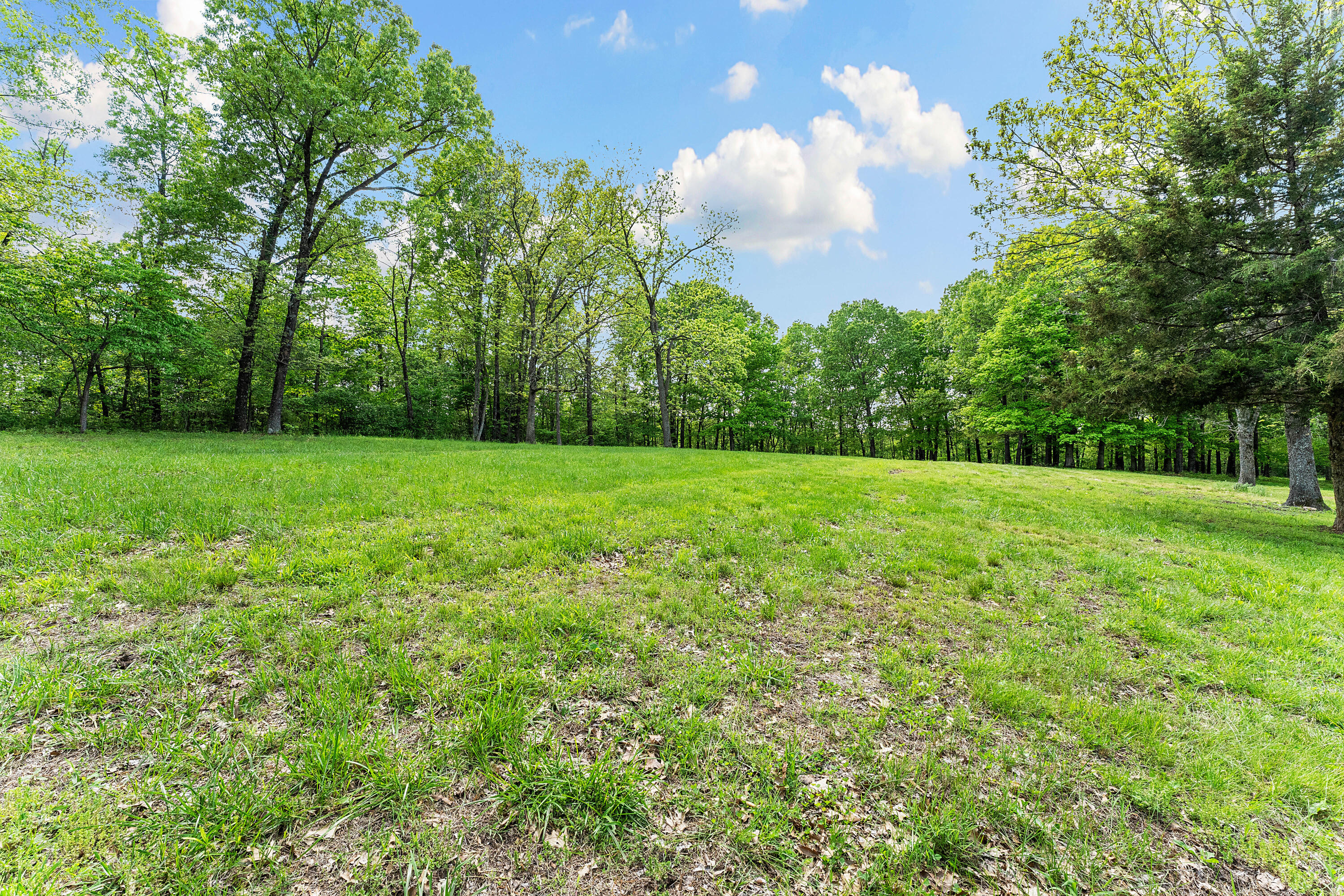 315 Buckskin Ridge Property Photo 77