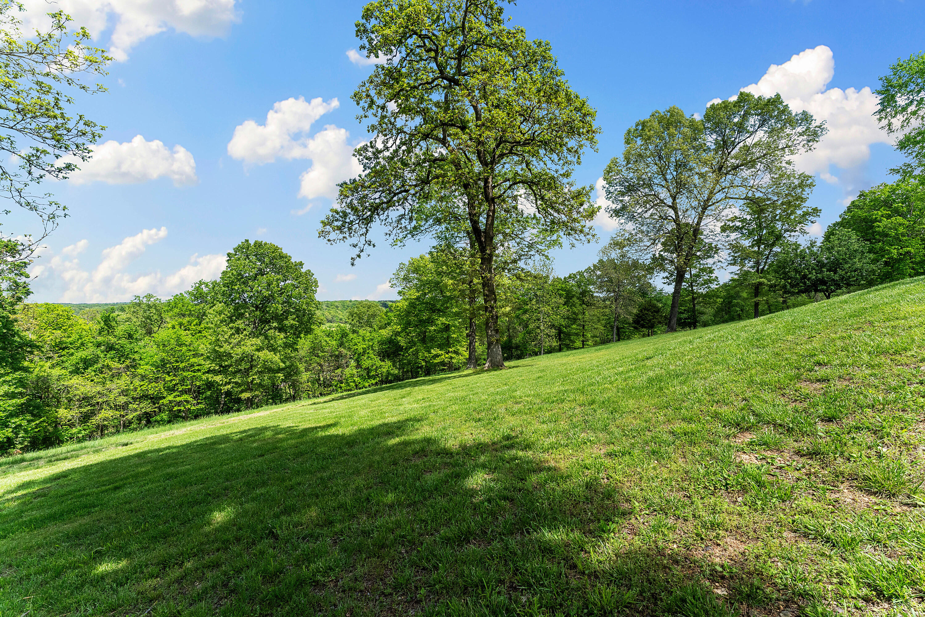 315 Buckskin Ridge Property Photo 79