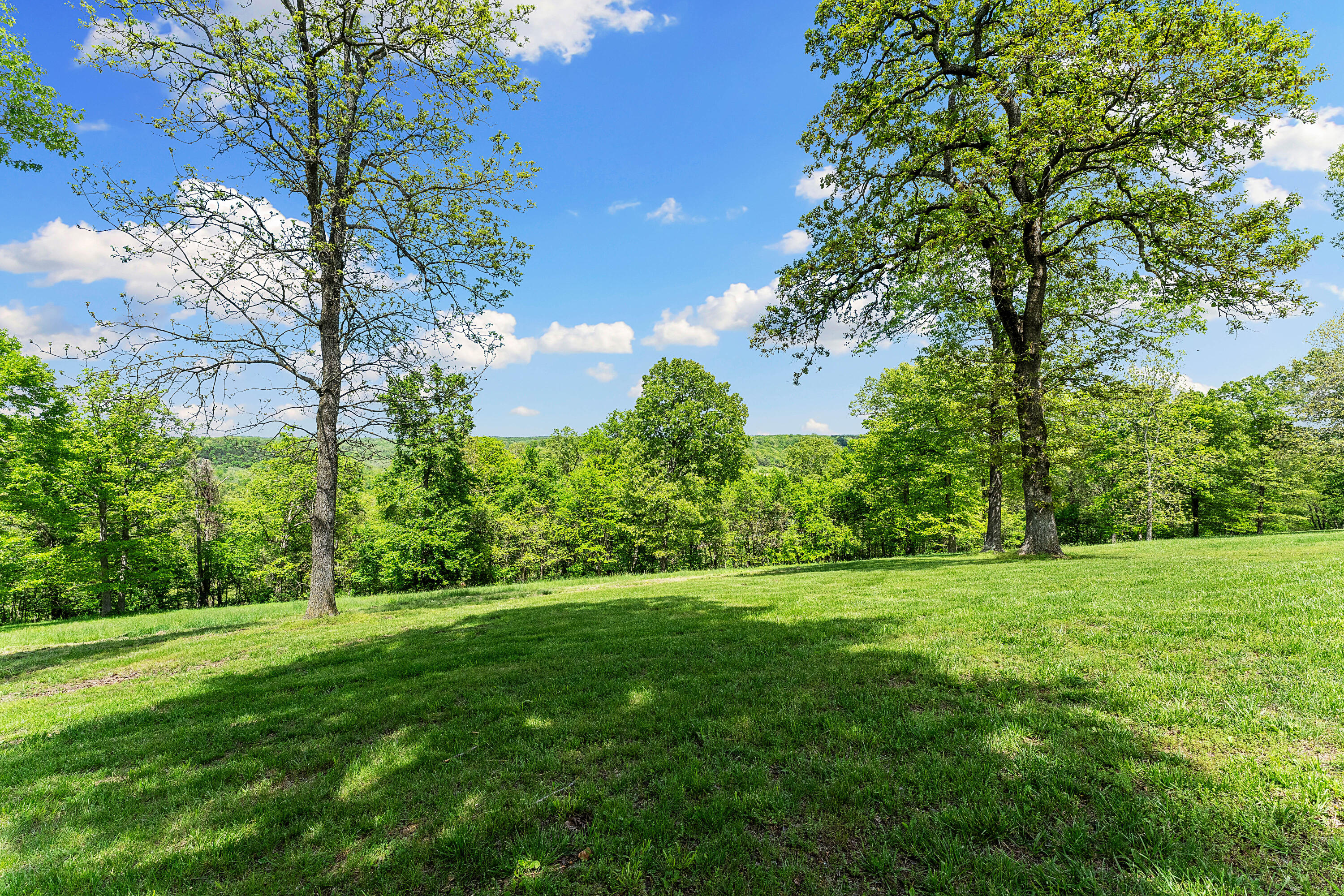 315 Buckskin Ridge Property Photo 80
