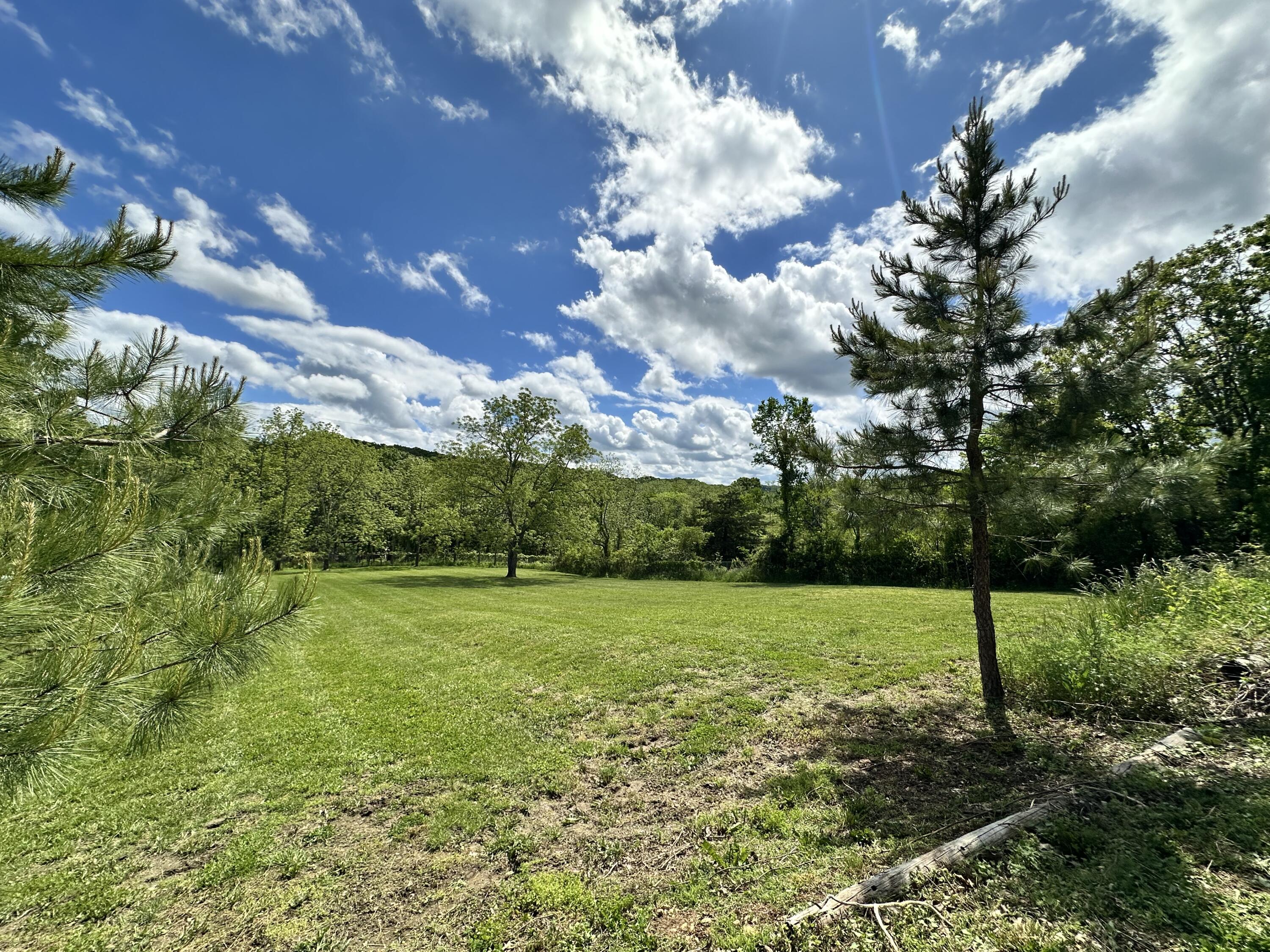 18061 Grogan Road Property Photo 27