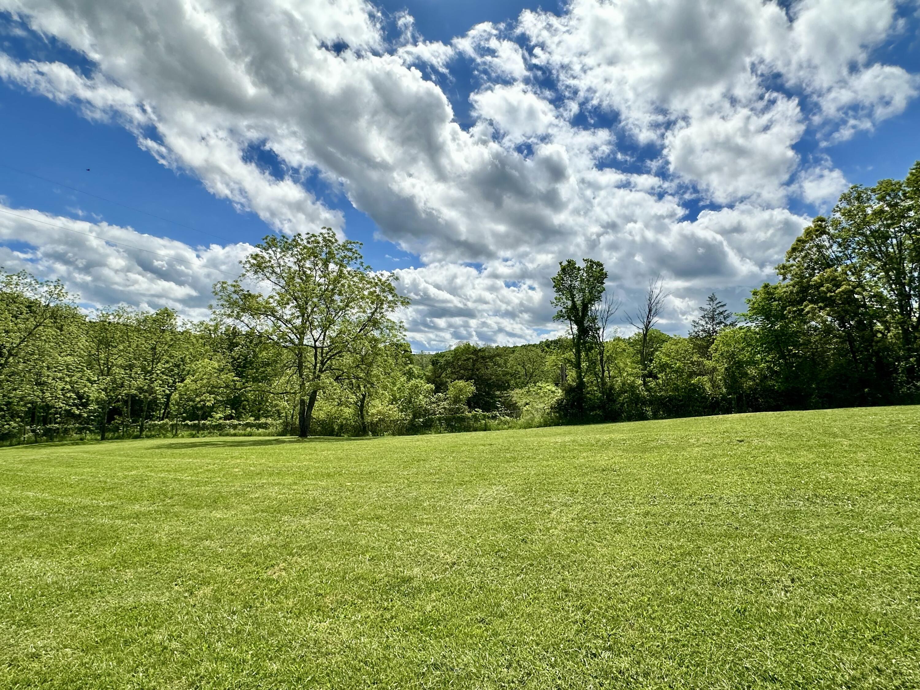 18061 Grogan Road Property Photo 28