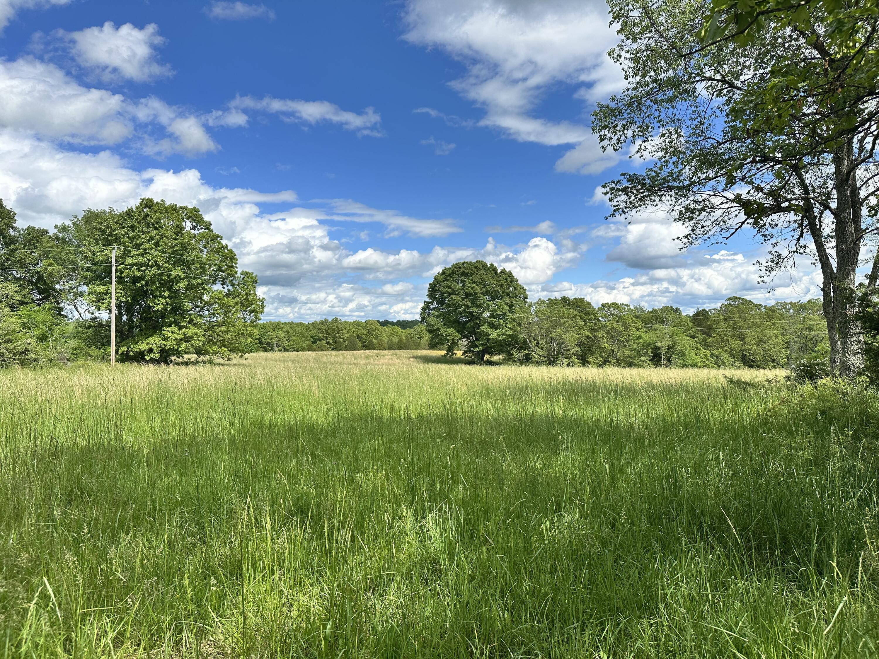 18061 Grogan Road Property Photo 30
