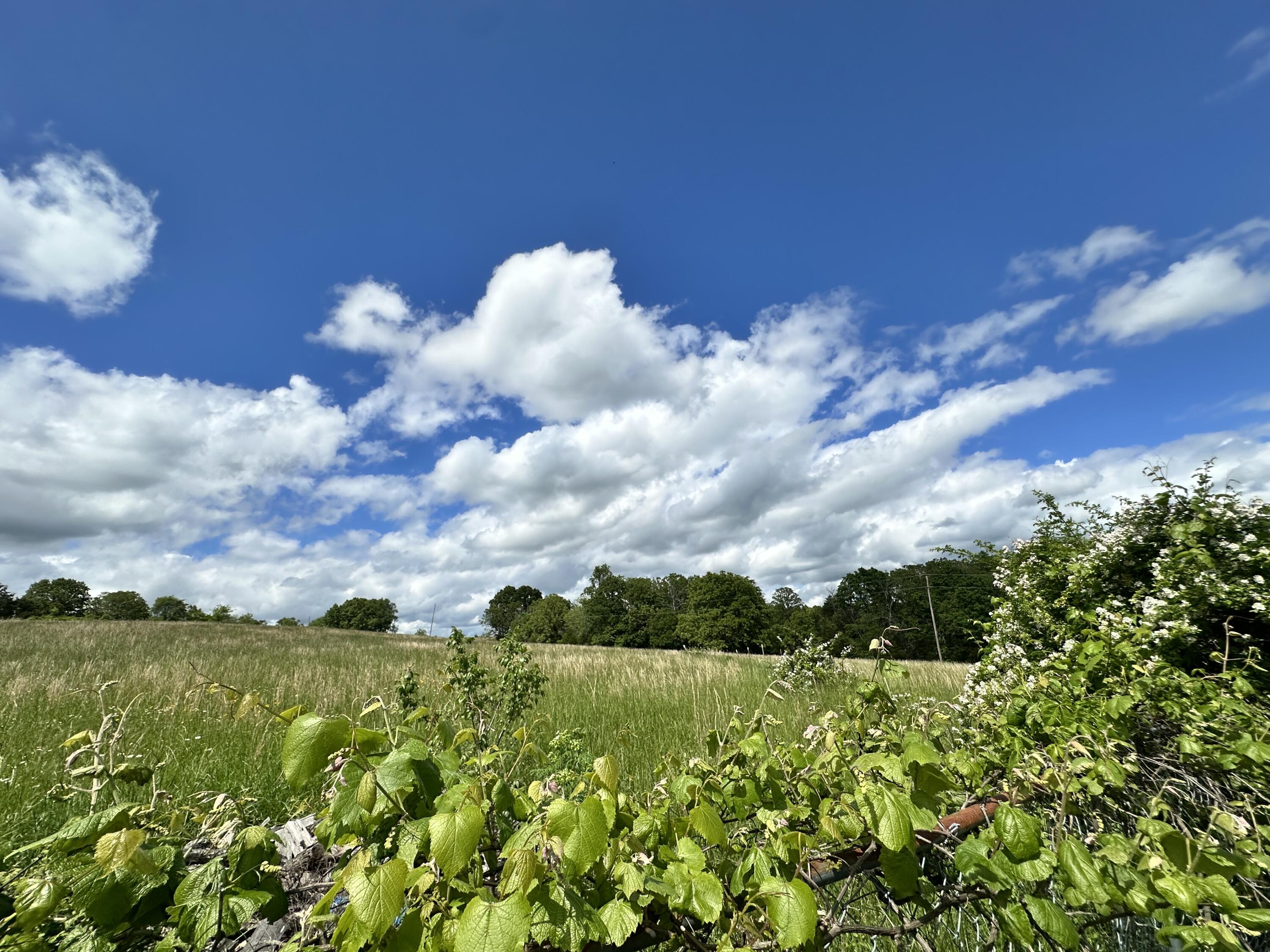 18061 Grogan Road Property Photo 31