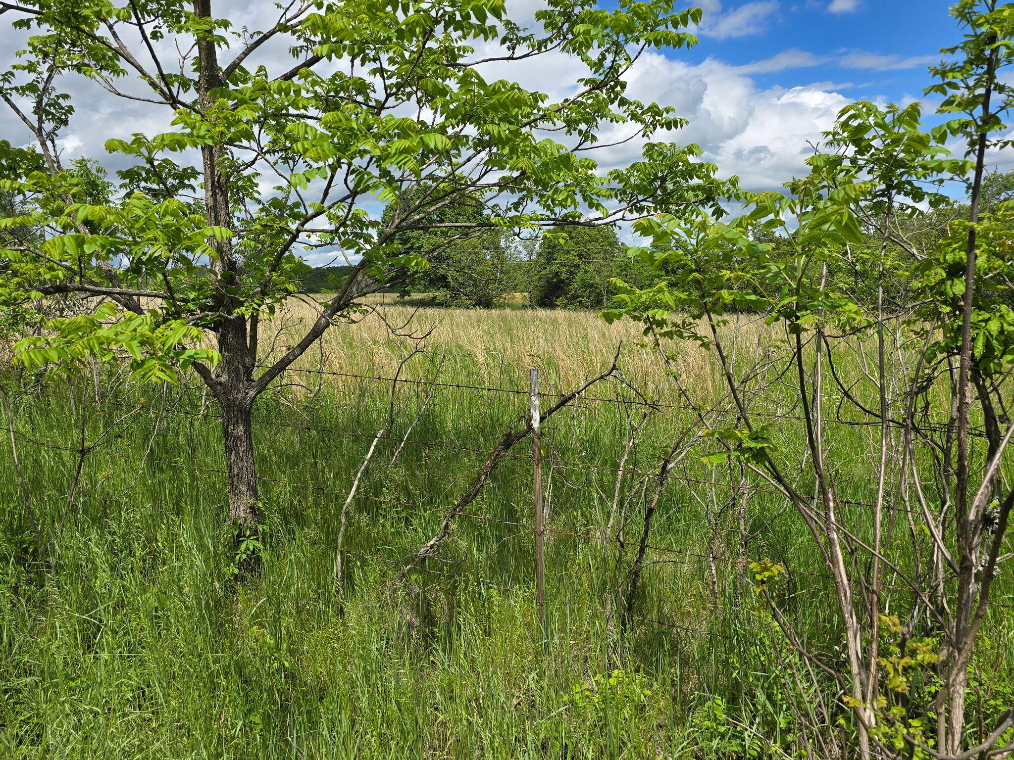 18061 Grogan Road Property Photo 33